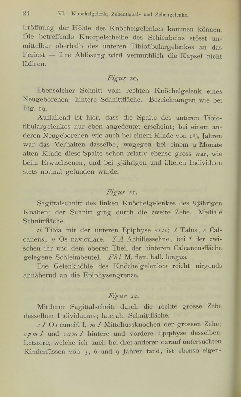 Eröifnung der Höhle des Knöchelgelenkes kommen können. Die betreffende Knorpelscheibe des Schienbeins stösst un- mittelbar oberhalb des unteren Tibiofibulargelenkes an das Periost — ihre Ablösung, wird vermuthlich die Kapsel nicht lädiren. Figur 20. Ebensolcher Schnitt vom rechten Knöchelgelenk eines Neugeborenen; hintere Schnittfläche. Bezeichnungen wie bei Fig. 19. Auffallend ist hier, dass die Spalte des unteren Tibio- fibulargelenkes nur eben angedeutet erscheint; bei einem an- deren Neugeborenen wie auch bei einem Kinde von i Jahren war das Verhalten dasselbe, wogegen bei einem g Monate alten Kinde diese Spalte schon relativ ebenso gross war, wie beim Erwachsenen, und bei 3jährigen und älteren Individuen stets normal gefunden wurde. Figur 21. Sagittalschnitt des linken Knöchelgelenkes des 8 jährigen Knaben; der Schnitt ging durch die zweite Zehe. Mediale Schnittfläche. ii Tibia mit der unteren Epiphyse eiii; t Talus, c Cal- caneus, n Os naviculare. TA Achillessehne, bei * der zwi- schen ihr und dem oberen Theil der hinteren Calcaneusfläche gelegene Schleimbeutel. FJi l M. flex. hall, longus. Die Gelenkhöhle des Knöchelgelenkes reicht nirgends annähernd an die Epiphysengrenze. Figur 22. Mittlerer Sagittalschnitt durch die rechte grosse Zehe desselben Individuums; laterale Schnittfläche. c I Os cuneif. I, w / Mittelfussknochen der grossen Zehe; epml und cami hintere und vordere Epiphyse desselben. Letztere, welche ich auch bei drei anderen darauf untersuchten Kinderfüssen von 3, 6 und 9 Jahren fand, ist ebenso eigen-