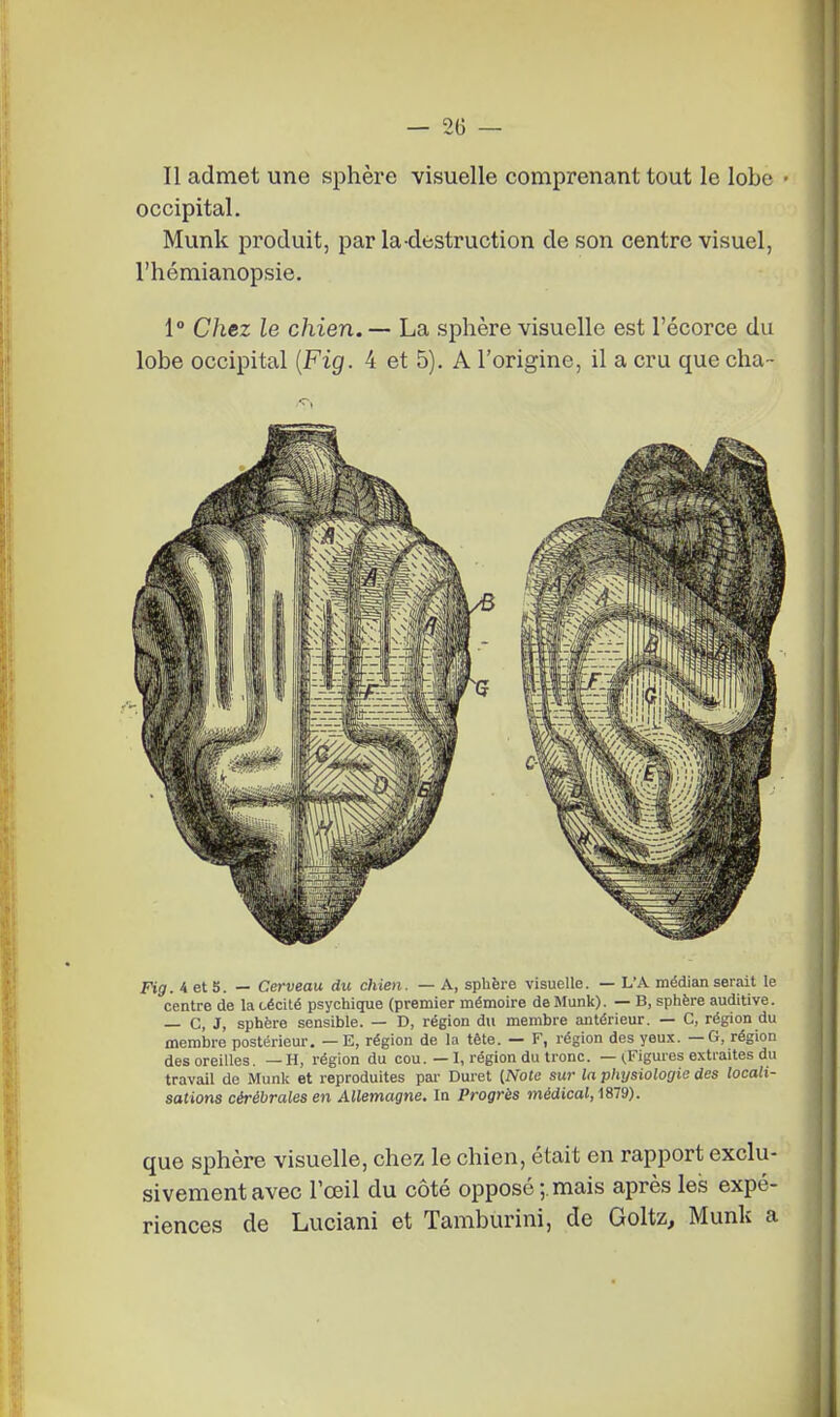 Il admet une sphère visuelle comprenant tout le lobe - occipital. Munk produit, par la-destruction de son centre visuel, l'hémianopsie. 1° Chez le chien. — La sphère visuelle est l'écorce du lobe occipital {Fig. 4 et 5). A l'origine, il a cru que cha- Fig. ietS. — Cerveau du chien. — A, sphère visuelle. — L'A médian serait le centre de la cécité psychique (premier mémoire de Munk). — B, sphère auditive. — C, J, sphère sensible. — D, région du membre antérieur. — C, région du membre postérieur. — E, région de la tète. — F, région des yeux. — G, région des oreilles. —H, région du cou. — I, région du tronc. — (.Figures e.xtraites du travail de Munk et reproduites pai- Duret [Note sur la physiologie des locali- sations cérébrales en Allemagne. In Progrès médical, iS19). que sphère visuelle, chez le chien, était en rapport exclu- sivement avec l'œil du côté opposé;.mais après les expé- riences de Luciani et Tamburini, de Goltz, Munk a