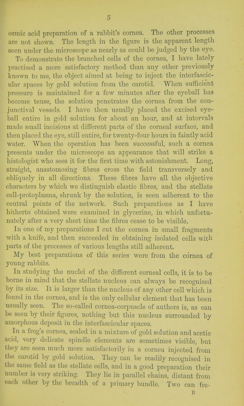 osmic acid preparation of a rabbit's cornea. The other processes are not sliown. The length in the figure is the apparent length seen under the microscope as nearly as could be judged by the eye. To demonstrate the branched cells of the cornea, I have lately pmctised a more satisfactory method than any other previously known to me, the object aimed at being to inject the interfascic- idar spaces by gold solution from the carotid. When sufficient pressure is maintained for a few minutes after the eyeball has become tense, the solution penetrates the cornea from the con- junctival vessels. I have then usually placed the excised eye- ball entire in gold solution for about an hour, and at intervals made small incisions at different parts of the corneal surface, and then placed the eye, still entire, for twenty-four hours in faintly acid water. When the operation has been successful, such a cornea presents imder the microscope an appearance that will strike a histologist who sees it for the first time with astonishment. Long, straight, anastomosing fibres cross the field transversely and obliquely in all directions. These fibres have all the objective characters by which we distinguish elastic fibres, and the stellate cell-protoplasma, shrunk by the solution, is seen adherent to the central points of the network. Such preparations as I have hitherto obtained were examined in glycerine, in which unfortu- nately after a very short time the fibres cease to be visible. In one of my preparations I cut the cornea in small fragments with a knife, and then succeeded in obtaining isolated cells witli parts of tlie processes of various lengths still adherent. My best preparations of this series were from the cornea of young rabbits. In studying the nuclei of the different corneal cells, it is to be borne in mind that the stellate nucleus can always be recognised by its size. It is larger than the nucleus of any other cell which is found in the cornea, and is the only cellular element that has been usually seen. The so-called cornea-corpuscle of authors is, as can be seen by their figures, nothing but this nucleus surrounded by amorphous deposit in the interfascicular spaces. In a frog's cornea, sealed in a mixture of gold solution and acetic acid, very delicate spindle elements are sometimes visible, but they are seen much more satisfactorily in a cornea injected from the carotid by gold solution. They can be readily recognised in the same field as the stellate cells, and in a good preparation their number is very striking. They lie in parallel chains, distant from each other by tlie breadth of a primary ljundle. Two can iVe- n