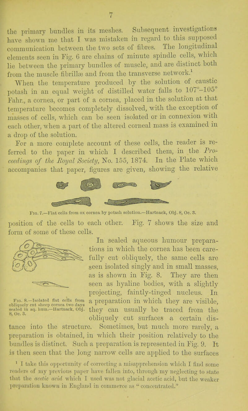 the iniinavy Inimllcs in its ineslies. Subsequent investigations liiive shown nie tlmt I Avas mistaken in regard to this siii)posed communication between the two sets of fibres. Tlie longitudinal elements seen in Fig. 6 are chains of minute spindle cells, which lie between the primary bundles of muscle, and are distinct both from tlie muscle fibrilhc and from the transverse network.^ When the temperature produced by the solution of caustic potash in an equal wei nht of distilled water falls to 107°-105 Fahr., a cornea, or part of a cornea, placed in the solution at that tenqierature becomes completely dissolved, with the exception of masses of cells, which can be seen isolated or in connexion with each other, when a part of the altered corneal mass is examined in a drop of the solution. For a more complete account of these cells, the reader is re- ferred to the paper in which I described them, in the Pro^ ccedimjs of the Royal Society, No. 155, 1874 In the Plate which accompanies that paper, figures are given, showing the relative Fig. 7.—Flat cells from ox cornea hy potash solution.—Hartnack, Obj. 8, Oc. 3. position of the cells to each other. Fig. 7 shows the size and form of some of these cells. In sealed aqueous humour prepara- tions in which the cornea has been care- fully cut obliquely, the same cells are seen isolated singly and in small masses, as is shown in Fig. 8. They are then seen as hyaline bodies, with a slightly projecting, faintly-tinged niicleus. In Fio. 8.-Tsoiat(>(i flat cells from a preparation in which they are visible, ohliiiiiely cut slir«]) cornea two <Iays ^ ^ ./ j 8 oc's ''j- they can usually be traced from the obliquely cut surfaces ^ certain dis- tance into the structure. Sometimes, but much more rarely, a preparation is oljtained, in which their position relatively to the l)uii(lles is distinct. Such a preparation is represented in Fig. 9. It is then seen that the long narrow cells are applied to the surfaces ' I t<'ike tliis oj)i)nrtunity of correctiiig a misapprelieiiBion wliicli I find some i i-adcM of iny piuvioim pupcr liave fallen into, tlivongh my neglecting to state lliat the acdic arid which I used Avas not glacial acetic acid, Init the weaker lircparation known in England in coninierce as  conceiitiated.