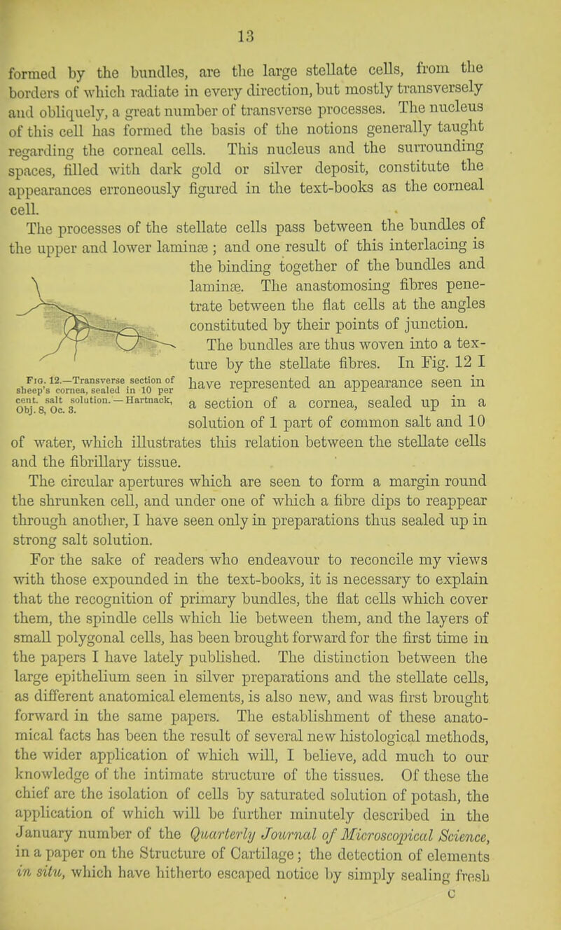 formed by the bundles, are tlie large stellate cells, from the borders of which radiate in every direction, but mostly transversely and obliquely, a great number of transverse processes. The nucleus of this cell has formed the basis of the notions generally taught regarding the corneal cells. This nucleus and the suiTounding spaces, filled with dark gold or silver deposit, constitute the appearances erroneously figured in the text-books as the corneal cell. The processes of the stellate cells pass between the bundles of the upper and lower laminae; and one result of this interlacing is the binding together of the bundles and laminee. The anastomosing fibres pene- trate between the flat cells at the angles constituted by their points of junction. The bundles are thus woven into a tex- ture by the stellate fibres. In Fig. 12 I shfep-s'coTn^r/elilfifio;:' l^^ve represented an appearance seen in objVoc |°'--H'^'''=''' a section of a cornea, sealed up in a solution of 1 part of common salt and 10 of water, which illustrates this relation between the stellate cells and the fibrillary tissue. The circular apertures which are seen to form a margin round the shrunken cell, and under one of which a fibre dips to reappear through another, I have seen only in preparations thus sealed up in strong salt solution. For the sake of readers who endeavour to reconcile my views with those expounded in the text-books, it is necessary to explain that the recognition of primary bundles, the flat cells which cover them, the spindle cells which lie between them, and the layers of small polygonal cells, has been brought forward for the first time in the papers I have lately published. The distinction between the large epithelium seen in silver preparations and the stellate cells, as different anatomical elements, is also new, and was first brought forward in the same papers. The establishment of these anato- mical facts has been the result of several new histological methods, the wider application of which will, I believe, add much to our knowledge of tlie intimate structure of the tissues. Of these the chief arc the isolation of cells by saturated solution of potash, the application of which will be further minutely described in the January number of the Quarterly Journal of Microscopical Science, in a paper on the Structure of Cartilage; the detection of elements in situ, which have hitherto escaped notice l)y simply sealing fresh c
