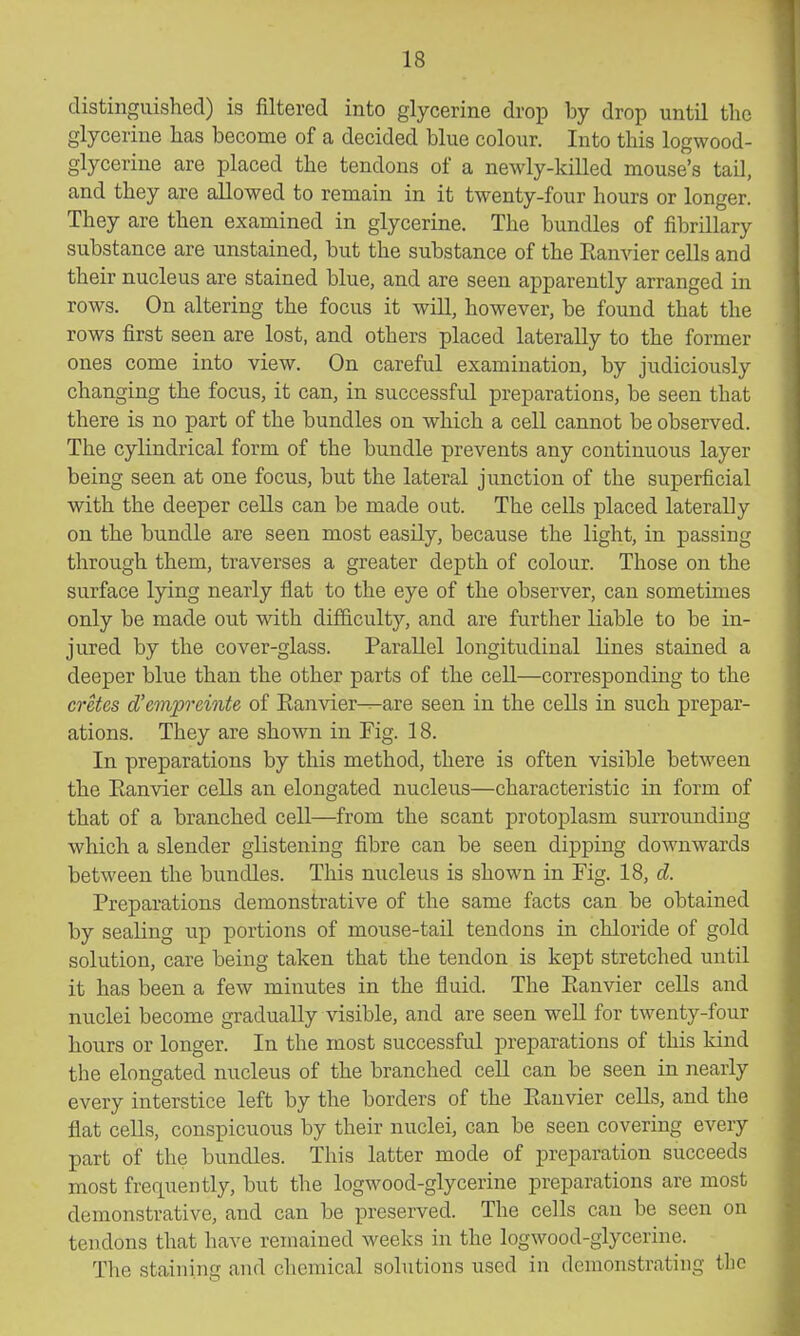 distinguished) is filtered into glycerine drop by drop until the glycerine Las become of a decided blue colour. Into this logwood- glycerine are placed the tendons of a newly-killed mouse's tail, and they are allowed to remain in it twenty-four hours or longer. They are then examined in glycerine. The bundles of fibrillary substance are unstained, but the substance of the Eanvier cells and their nucleus are stained blue, and are seen apparently arranged in rows. On altering the focus it will, however, be found that the rows first seen are lost, and others placed laterally to the former ones come into view. On careful examination, by judiciously changing the focus, it can, in successful preparations, be seen that there is no part of the bundles on which a cell cannot be observed. The cylindrical form of the bundle prevents any continuous layer being seen at one focus, but the lateral junction of the superficial with the deeper cells can be made out. The cells placed laterally on the bundle are seen most easily, because the light, in passing through them, traverses a greater depth of colour. Those on the surface lying nearly flat to the eye of the observer, can sometimes only be made out with diflB.culty, and are further liable to be in- jured by the cover-glass. Parallel longitudinal lines stained a deeper blue than the other parts of the cell—corresponding to the cretes d'empreinte of Eanvier^are seen in the cells in such prepar- ations. They are shown in Fig. 18. In preparations by this method, there is often visible between the Eanvier cells an elongated nucleus—characteristic in form of that of a branched cell—from the scant protoplasm surrounding which a slender glistening fibre can be seen dipping downwards between the bundles. This nucleus is shown in Fig. 18, d. Preparations demonstrative of the same facts can be obtained by sealing up portions of mouse-tail tendons in chloride of gold solution, care being taken that the tendon is kept stretched until it has been a few minutes in the fluid. The Eanvier cells and nuclei become gradually visible, and are seen well for twenty-four hours or longer. In the most successful preparations of this kind the elongated nucleus of the branched cell can be seen in nearly every interstice left by the borders of the Eanvier cells, and the flat cells, conspicuous by their nuclei, can be seen covering every part of the bundles. This latter mode of preparation succeeds most frequently, but the logwood-glycerine preparations are most demonstrative, and can be preserved. The cells can be seen on tendons that have remained weeks in the logwood-glycerine. The staining and chemical solutions used in demonstrating tlic