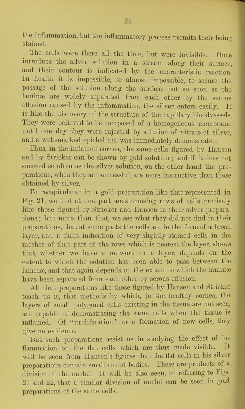 the inflammation, but the inflammatory process permits their being stained. The cells were there all the time, but were invisible. Once introduce the silver solution in a stream along tlieir surface, and their contour is indicated by the characteristic reaction. In health it is impossible, or almost impossible, to secure the passage of the solution along the surface, but so soon as the lamina are widely separated from each other by the serous effusion caused by the inflammation, the silver enters easily. It is like the discovery of the structure of the Capillary bloodvessels. They were believed to be composed of a homogeneous membrane, until one day they were injected by solution of nitrate of silver, and a well-marked epithelium was immediately demonstrated. Thus, in the inflamed cornea, the same cells figured by Hansen and by Strieker can be shown by gold solution; and if it does not succeed so often as the silver solution, on the other hand the pre- parations, when they are successful, are more instructive than those obtained by silver. To recapitulate: in a gold preparation like that represented in Fig. 21, we find at one part anastomosing rows of cells precisely like those figured by Strieker and Hansen in their silver prepara- tions ; but more than that, we see what they did not find in their preparations, that at some parts the cells are in the form of a broad layer, and a faint indication of very slightly stained cells in the meshes of that part of the rows which is nearest the layer, shows that, whether we have a network or a layer, depends on the extent to which the solution has been able to pass between the lamince, and that again depends on the extent to which the laminae have been separated from each other by serous effusion. All that preparations like those figured by Hansen and Strieker teach us is, that methods by which, in the healthy cornea, the layers of small polygonal cells existing in the tissue are not seen, are capable of demonstrating the same cells when the tissue is inflamed. Of  proKferation, or a formation of new cells, they give no evidence. But such preparations assist us in studying the effect of in- flammation on the flat cells which are thus made visible. It will be seen from Hansen's figures that the fiat cells in his silver preparations contain small round bodies. These are products of a division of the nuclei. It will be also seen, on referring to Figs. 21 and 22, that a similar division of nuclei can be seen in gold preparations of the same cells.