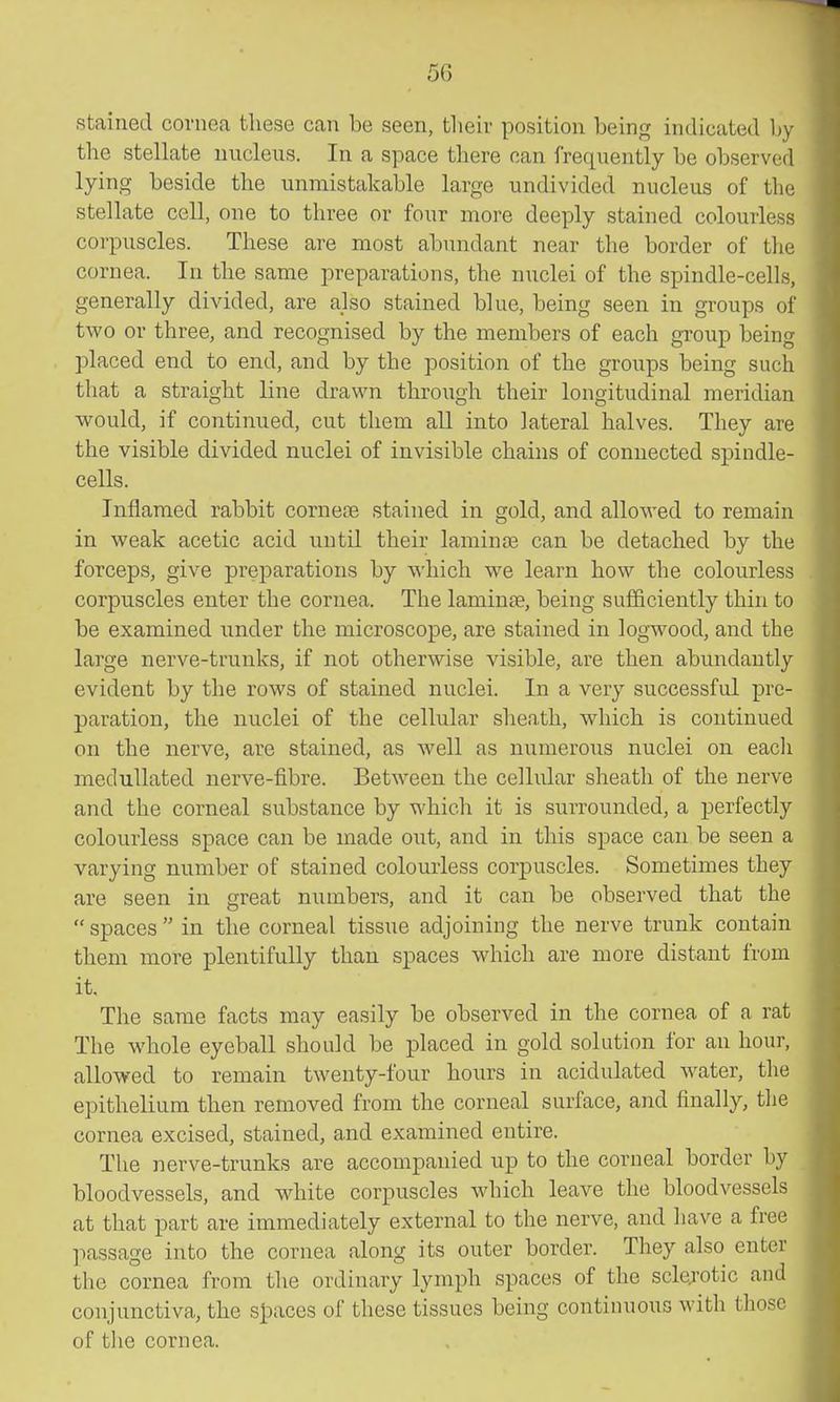 stained cornea these can be seen, their position being indicated Ijy the stellate nucleus. In a space there can frequently be observed lying beside the unmistakable large undivided nucleus of the stellate cell, one to three or four more deeply stained colourless corpuscles. These are most abimdant near the border of the cornea. In the same preparations, the nuclei of the spindle-cells, generally divided, are also stained blue, being seen in groups of two or three, and recognised by the members of each group being placed end to end, and by the position of the groups being such that a straight line drawn through their longitudinal meridian would, if continued, cut them all into lateral halves. They are the visible divided nuclei of invisible chains of connected spindle- cells. Inflamed rabbit corn ere stained in gold, and allowed to remain in weak acetic acid until their laminte can be detached by the forceps, give preparations by which we learn how the colourless corpuscles enter the cornea. The laminae, being sufficiently thin to be examined under the microscope, are stained in logwood, and the large nerve-trunks, if not otherwise visible, are then abundantly evident by the rows of stained nuclei. In a very successful pre- paration, the nuclei of the cellular sheath, which is continued on the nerve, are stained, as well as numerous nuclei on eacli medullated nerve-fibre. Between the cellular sheath of the nerve and the corneal substance by which it is surrounded, a j)erfectly colourless space can be made out, and in this space can be seen a varying number of stained colourless corpuscles. Sometimes they are seen in great numbers, and it can be observed that the  spaces  in the corneal tissue adjoining the nerve trunk contain them more plentifully than spaces which are more distant from it. The same facts may easily be observed in the cornea of a rat The whole eyeball should be placed in gold solution for an hour, allowed to remain twenty-four hours in acidulated water, the epithelium then removed from the corneal surface, and finally, the cornea excised, stained, and examined entire. The nerve-trunks are accompanied up to the corneal border by bloodvessels, and white corpuscles which leave the bloodvessels at that part are immediately external to the nerve, and have a free passage into the cornea along its outer border. They also enter the cornea from the ordinary lymph spaces of the sclerotic and conjunctiva, the spaces of these tissues being continuous with those of tlie cornea.