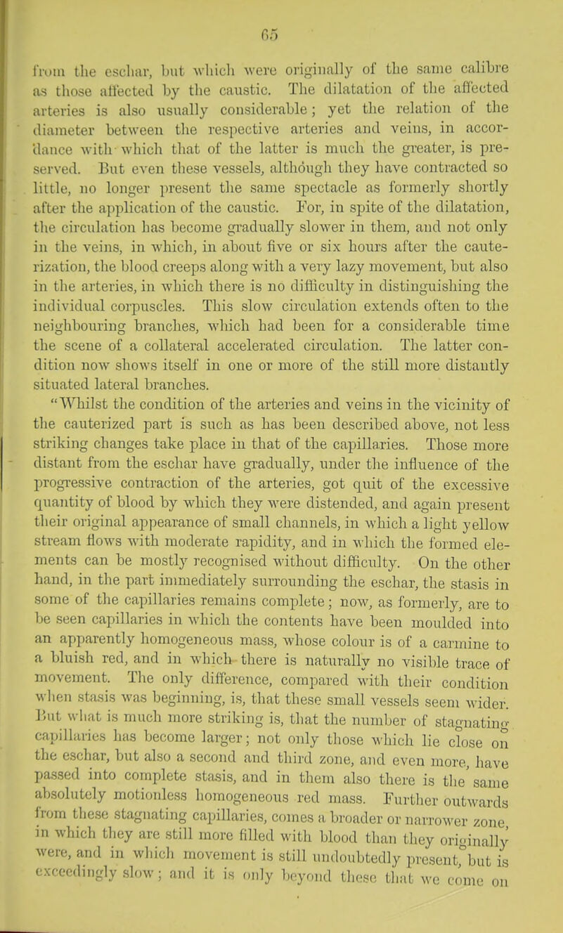 IVoui the escliar, but ^vlliull were originally of tLe same calibre as those affected by the caustic. The dilatation of the affected arteries is also usually considerable; yet the relation of the diameter between the respective arteries and veins, in accor- dance with which that of the latter is much the greater, is pre- served. But even these vessels, although they have contracted so little, no longer present the same spectacle as formerly shortly after the application of the caustic. For, in spite of the dilatation, the circulation has become gi'adually slower in them, and not only in the veins, in which, in about five or six hours after the caute- rization, the blood creeps along with a very lazy movement, but also in the arteries, in which there is no difliculty in distinguishing the individual corpuscles. This slow circulation extends often to the neighbouring branches, which had been for a considerable time the scene of a collateral accelerated circulation. The latter con- dition now shows itself in one or more of the still more distantly situated lateral branches. Whilst the condition of the arteries and veins in the vicinity of the cauterized part is such as has been described above, not less striking changes take place in that of the capillaries. Those more distant from the eschar have gradually, under the influence of the progressive contraction of the arteries, got quit of the excessive quantity of blood by which they were distended, and again present their original appearance of small channels, in which a light yellow stream flows with moderate rapidity, and in which the formed ele- ments can be mostly recognised without difficulty. On the other hand, in the part immediately surrounding the eschar, the stasis in some of the capillaries remains complete; now, as formerly, are to be seen capillaries in which the contents have been moulded into an apparently homogeneous mass, whose colour is of a carmine to a blui.sh red, and in which there is naturally no visible trace of movement. The only difference, compared with their condition when stasis was beginning, is, that these small vessels seem wider. But what is much more striking is, that the number of stagnatino- capillaries has become larger; not only those which lie close on the eschar, but also a second and third zone, and even more, have passed into complete stfisis, and in them also there is tlie' same absolutely motionless homogeneous red mass. Furtlier outwards from tlieso stagnating capillaries, comes a broader or narrower zone in which they are still more filled with blood than they originally were, and in which movement is still undoubtedly present^'but is exceedingly slow; and it is (mly boyrmd these tliat we come on