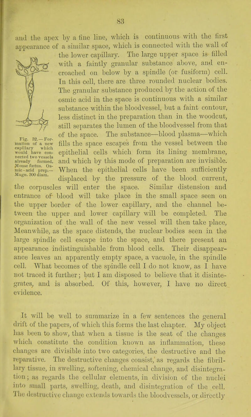 and the apex by a line line, wliicli is continuous with the first appearance of a siniihir space, whicli is connected \\ ith the wall of the lower capillary. The large upper space is filled with a faintly granular substance above, and en- croached on below by a spindle (or fusiform) cell. Tn this cell, there are three rounded nuclear bodies. The granular substance produced by the action of the osniic acid in the space is continuous with a similar substance within the bloodvessel, but a faint contour, less distinct in the preparation than in the woodcut, still separates the lumen of the bloodvessel from that of the space. The substance—blood plasma—which matioli of a new fills the spacc escapcs from the vessel between the would have* con- epithelial cells which form its lining membrane, iiected two vessels i n ■• ••■it already foi-med. and which by this modc 01 preparation are invisible, niic - acid prep.— When the epithelial cells have been sufficiently iiHgn.aoodiam. (JigpJf^(,Q(J ijy ^hc pressure of the blood current, the corpuscles will enter the space. Similar distension and entrance of blood Avill take place in the small space seen on the upper border of the lower capillary, and the channel be- tween the upper and lower capillary will be completed. The organization of the wall of the new vessel will then take place. Meanwhile, as the space distends, the nuclear bodies seen in the large spindle cell escape into the space, and there present an ai)pearance indistinguishable from blood cells. Their disappear- ance leaves an apparently empty space, a vacuole, in the spindle cell. What becomes of the spindle cell I do not know, as I have not traced it further; but I am disposed to believe that it disinte- grates^ and is absorbed. Of this, however, I have no direct evidence. It will be well to summarize in a few sentences the general drift of the papers, of which this forms the last chapter. My object has been to show, that when a tissue is the seat of the chan<xes which constitute the condition known as inflammation, these changes are divisible into two categories, the destructive and the reparative. The destructive changes consist,'as regards the fibril- lary tissue, in swelling, softening, chemical change, and disintegra- tion; }is regards the cellular elements, in division of tlio nuclei into small parts, swelling, death, and disintegration of the cell. The desti'uctive change extends towards the bloodvessels, or directly