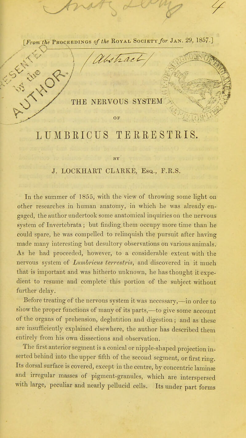 [From Proceedings of the Royal SociETv/or Jan. 29, 1867.] THE NERVOUS SYSTEM OF LUMBRICUS TERRESTRIS. BY J. LOCKHART CLARKE, Esq., F.R.S. In the summer of 1855, with the view of throwing some light on other researches in human anatomy, in which he was already en- gaged, the author undertook some anatomical inquiries on the nervous system of Invertebrata; but finding, them occupy more time than he could spare, he was compelled to relinquish the pursuit after having made many interesting but desultory observations on various animals. As he had proceeded, however, to a considerable extent with the nervous sj'stem of Lumbricus terrestris, and discovered in it much that is important and was hitherto unknown, he has thought it expe- dient to resume and complete this portion of the subject without further delay. Before treating of the nervous system it was necessary,—in order to show the proper functions of many of its parts,—to give some account of the organs of prehension, deglutition and digestion; and as these are insufficiently explained elsewhere, the author has described them entirely from his own dissections and observation. The first anterior segment is a conical or nipple-shaped projection in- serted behind into the upper fifth of the second segment, or first ring. Its dorsal surface is covered, except in the centre, by concentric laminae and irregular masses of pigment-granules, which are interspersed with large, peculiar and nearly pellucid cells. Its under part forms