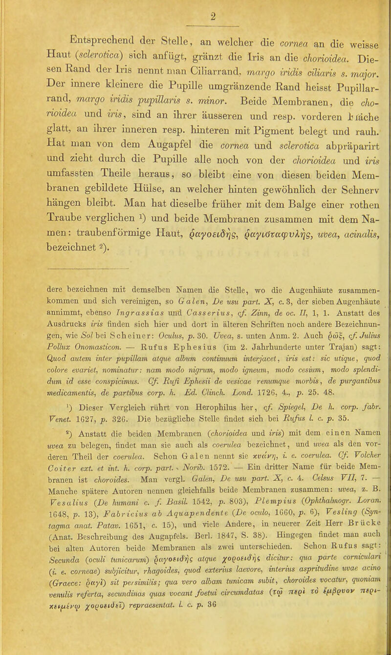 Entsprechend der Stelle, an welcher die cornea an die weisse Haut (sderotica) sich ant ugt, gränzt die Iris an die chorioidea. Die- sen Rand der Iris nennt man Ciliarrand, margo iridis dliaris s. major. Der innere kleinere die Pupille umgränzende Rand heisst Pupillar- land, margo iridis pupillaris s. minor. Beide Membranen, die cho- rioidea und iris, sind an ihrer äusseren und resp. vorderen htäche glatt, an ihrer inneren resp. hinteren mit Pigment belegt und rauh. Hat man von dem Augapfel die cornea und sderotica abpräparirt und zieht durch die Pupille alle noch von der chorioidea und iris umfassten Theile heraus, so bleibt eine von diesen beiden Mem- branen gebildete Hülse, an welcher hinten gewöhnlich der Sehnerv hängen bleibt. Man hat dieselbe früher mit dem Balge einer rothen Traube verglichen i) und beide Membranen zusammen mit dem Na- men: traubenförmige Haut, Qayoetd^g, Qayc6Taq)vk^g, uvea, adnalis, bezeichnet 2). dere bezeichnen mit demselben Namen die Stelle, wo die Augenhäute Zusammen- kommen und sich vereinigen, so Ga Zen, De usu pari. X, c. 3, der sieben Augenhäute annimmt, ebenso Ingrassias und Casserius, cf. Zinn, de oc. II, 1, 1. Anstatt des Ausdrucks iris finden sich hier und dort in älteren Schriften noch andere Bezeichnun- gen, wie aSoZ bei Scheiner: Oculus, p. 30. Uvea, s. xmten Anm. 2. Auch ptaJ, cf. Julius Pollux Onomasticon. — Rufus Ephesius (im 2. Jahrhunderte unter Trajan) sagt: (luod autem inter pupillam atque alhum continuum interjacet, iris est: sic utique, quod colore evariet, nominatur: nam modo nigrum, modo igneum, modo cesium, modo splendi- dum id esse conspicimus. Cf. Ruß Ephesii de vesicae renumque morbis, de purgantibus medicamentis, de partibus corp. h. Ed. Clinch. Lond. 172G, 4., p. 25. 48. ‘) Dieser Vergleich rührt von Herophilus her, cf. Spiegel, De h. corp. fahr. Venet. 1G27, p. 32G. Die bezügliche Stelle findet sich bei Rufus l. c. p. 35. ®) Anstatt die beiden Membranen (^chorioidea und iris~) mit dem einen Namen uvea zu belegen, findet man sie auch als coerulea bezeichnet, und uvea als den vor- deren Theil der coerulea. Schon Galen nennt sie xvcivq, i. e. coerulea. Cf. Volcher Coiter ext. et int. h. corp. pari.. Norib. 1572. — Ein dritter Name für beide Mem- branen ist choroides. Man vergl. Galen, De usu pari. X, c. 4. Celsus FT7, 7. Manche spätere Autoren nennen gleichfalls beide Membranen zusammen: uvea, z. B. Vesalius (De humani c. f. Basil 1542, p. 803), Piempius (Ophthalmogr. Loran. 1G48, p. 13), Fabrieius ab Aquapendente (De ocido, IGGO, p. 6), Vesling (Syn- tagma anat. Patav. 1G51, c. 15), und viele Andere, in neuerer Zeit Herr Brücke (Anat. Beschreibung des Augapfels. Berl. 1847, S. 38). Hingegen findet man auch bei alten Autoren beide Membranen als zwei unterschieden. Schon Rufus sagt: Secunda (oculi tunicarum) gayosid-qg atque /oqostdiji diciiur: qua parte corniculari (i. e. corneae) subßcitur, rhagoides, quod exterius laevore, interius aspritudine uvae acino (Graece: gayi) sit persimilis; qua vero albam tunicam subit, choroides vocatur, quoniam venulis referta, secundinas quas vocant foetui circumdatas (rw ntqi v6 ipßgvov negi- r.Hfiirq) yogosiätX) repraesentat. l. c. p. 36