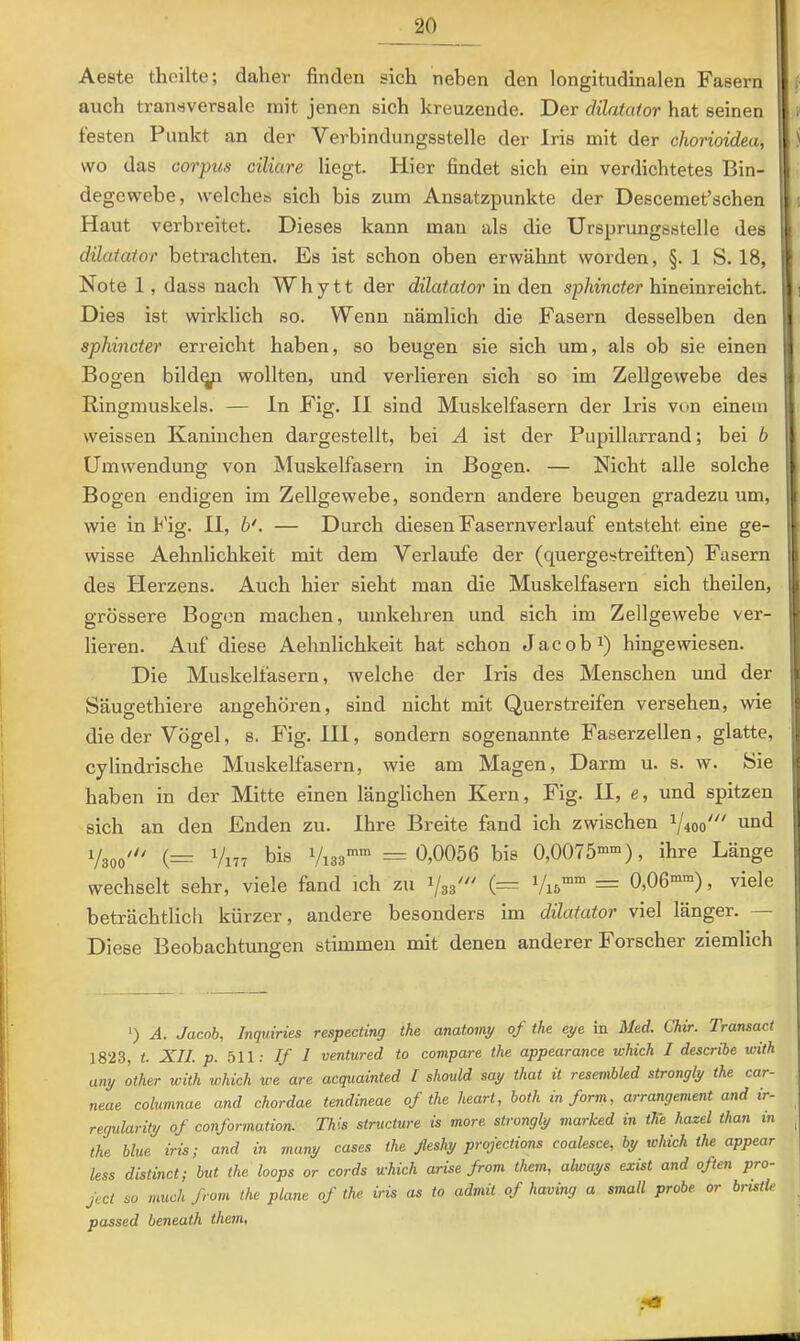 Aeste theilte; daher finden sich neben den longitudinalen Fasern (• auch transversale mit jenen sich kreuzende. Der dilatator hat seinen Y festen Punkt an der Verbindungsstelle der Iris mit der chorioidea, i wo das Corpus ciliare liegt. Hier findet sich ein verdichtetes Bin- degewebe, welches sich bis zum Ansatzpunkte der Descemet’schen s Haut verbreitet. Dieses kann man als die Ursprungsstelle des dilataior betrachten. Es ist schon oben erwähnt worden, §. 1 S. 18, Note 1, dass nach Whytt der dilataior m den sp/iinc^er hineinreicht. i Dies ist wirklich so. Wenn nämlich die Fasern desselben den sphincter erreicht haben, so beugen sie sich um, als ob sie einen Bogen bild^ wollten, und verlieren sich so im Zellgewebe des Ringmuskels. — ln Fig. 11 sind Muskelfasern der Iris von einem weissen Kaninchen dargestellt, bei A ist der Pupillarrand; bei b Umwendung von Muskelfasern in Bogen. — Nicht alle solche Bogen endigen im Zellgewebe, sondern andere beugen gradezu um, wie in h'ig. 11, 6'. — Durch diesen Fasernverlauf entsteht eine ge- wisse Aehnlichkeit mit dem Verlaufe der (quergestreiften) Fasern des Plerzens. Auch hier sieht man die Muskelfasern sich theilen, grössere Bogi3n machen, umkehren und sich im Zellgewebe ver- lieren. Auf diese Aehnlichkeit hat schon Jacobe) hingewiesen. Die Muskelfasern, welche der Iris des Menschen und der Säugethiere angehören, sind nicht mit Querstreifen versehen, wie die der Vögel, s. Fig. 111, sondern sogenannte Faserzellen, glatte, cylindrische Muskelfasern, wie am Magen, Darm u. s. w. Sie haben in der Mitte einen länglichen Kern, Fig. H, e, und spitzen sich an den Enden zu. Ihre Breite fand ich zwischen und i/aoo' (= Vi77 bis 1/133'' = Ö,0056 bis 0,0075“”), ihre Länge wechselt sehr, viele fand ich zu 1/33''' (= V15'' = 0,06”“), viele beträchtlich kürzer, andere besonders im dilataior viel länger. — Diese Beobachtungen stimmen mit denen anderer Forscher ziemlich 1) A. Jacob, Inquiries respecting the anatomy of the eye in Med. Chir. Transact 1823, t. XII. p. 511; If I ventured to compare the appearance which I describe with any ’other with which we are acquainted I should say that it resembkd strongly the car- neae columnae and chordae tendineae of the heart, both in form, arrangement and ir- regularity of conformation. This structure is more strongly marked in the hazel than in the blue iris; and in many cases the Jleshy projections coalesce, by which the appear less distinct; but the loops or cords which arise from them, ahoays exist and oßen pro- ject so much from the plane of the iris as to admit of having a small probe or bristle passed beneath thcvu