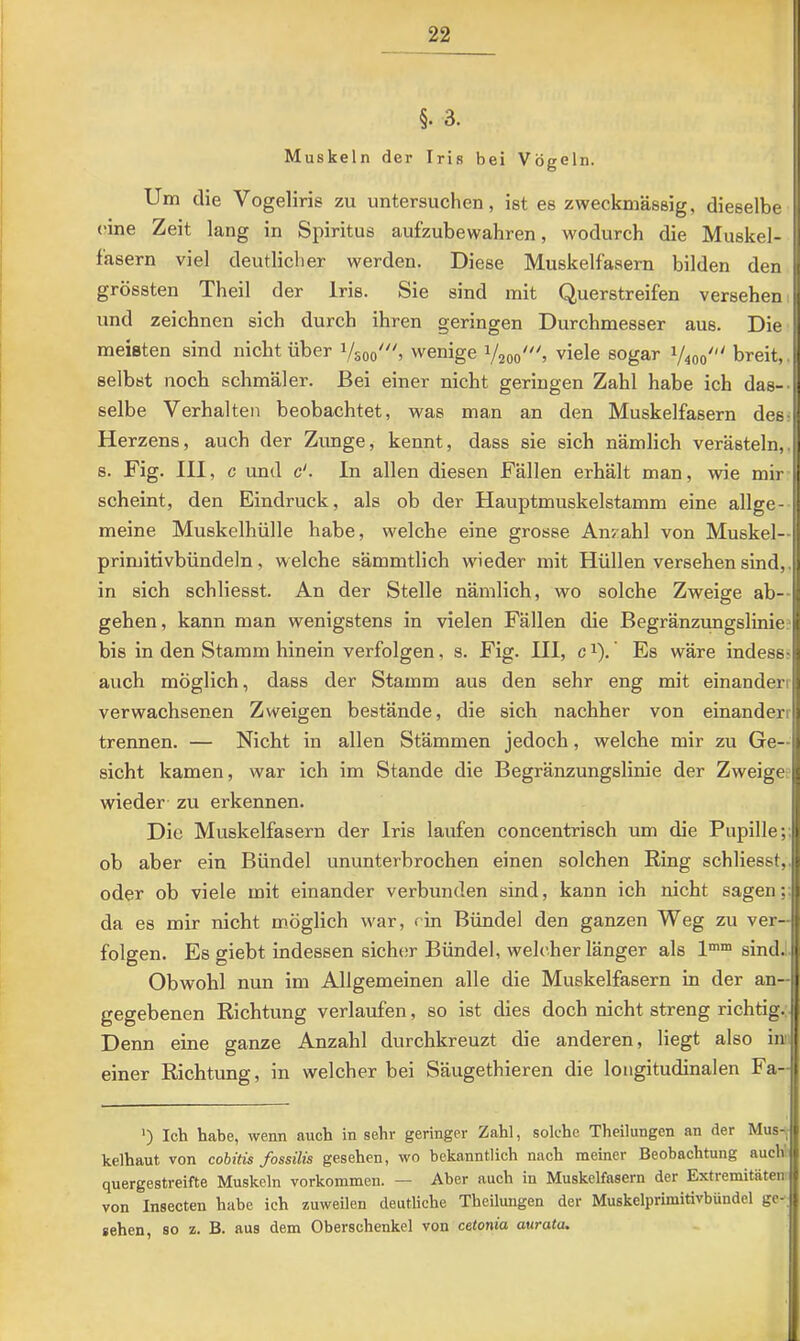 §. 3. Muskeln der Iris bei Vögeln. Um die Vogeliris zu untersuchen, ist es zweckmässig, dieselbe eine Zeit lang in Spiritus aufzubewahren, wodurch die Muskel- fasern viel deutlicher werden. Diese Muskelfasern bilden den grössten Theil der Iris. Sie sind mit Querstreifen versehen und zeichnen sich durch ihren geringen Durchmesser aus. Die meisten sind nicht über Vsoo'> wenige Vaoo'» viele sogar V400' breit,, selbst noch schmäler. Bei einer nicht geringen Zahl habe ich das-- selbe Verhalten beobachtet, was man an den Muskelfasern des- Herzens, auch der Zunge, kennt, dass sie sich nämlich verästeln,, s. Fig. III, c und &. In allen diesen Fällen erhält man, wie mir scheint, den Eindruck, als ob der Hauptmuskelstamm eine allge- meine Muskelhülle habe, welche eine grosse Anzahl von Muskel— primitivbündeln, welche sämmtlich wieder mit Hüllen versehen sind,, in sich schliesst. An der Stelle nämlich, wo solche Zweige ab-- gehen, kann man wenigstens in vielen Fällen die Begränzungslinie. bis in den Stamm hinein verfolgen, s. Fig. III, c i). Es wäre indessi auch möglich, dass der Stamm aus den sehr eng mit einander! verwachsenen Zweigen bestände, die sich nachher von einander! trennen. — Nicht in allen Stämmen jedoch, welche mir zu Ge- sicht kamen, war ich im Stande die Begränzungslinie der Zweige, wieder zu erkennen. Die Muskelfasern der Iris laufen concentrisch um die Pupille;, ob aber ein Bündel ununterbrochen einen solchen Ring schliesst,, oder ob viele mit einander verbunden sind, kann ich nicht sagen;; da es mir nicht möglich war, rin Bündel den ganzen Weg zu ver- folgen. Es giebt indessen sicher Bündel, welcher länger als 1““ sind.i. Obwohl nun im Allgemeinen alle die Muskelfasern in der an- gegebenen Richtung verlaufen, so ist dies doch nicht streng richtig. Denn eine ganze Anzahl durchkreuzt die anderen, liegt also in einer Richtung, in welcher bei Säugethieren die longitudinalen Fa- ') Ich habe, wenn auch in sehr geringer Zahl, solche Theilungen an der Mus-^ kelhaut von cohitis fossilis gesehen, wo bekanntlich nach meiner Beobachtung auch quergestreifte Muskeln Vorkommen. — Aber auch in Muskelfasern der Extremitäten von Insecten habe ich zuweilen deutliche Theilungen der Muskelprimitivbündel ge- sehen, so z. B. aus dem Oberschenkel von cetonia aurata.