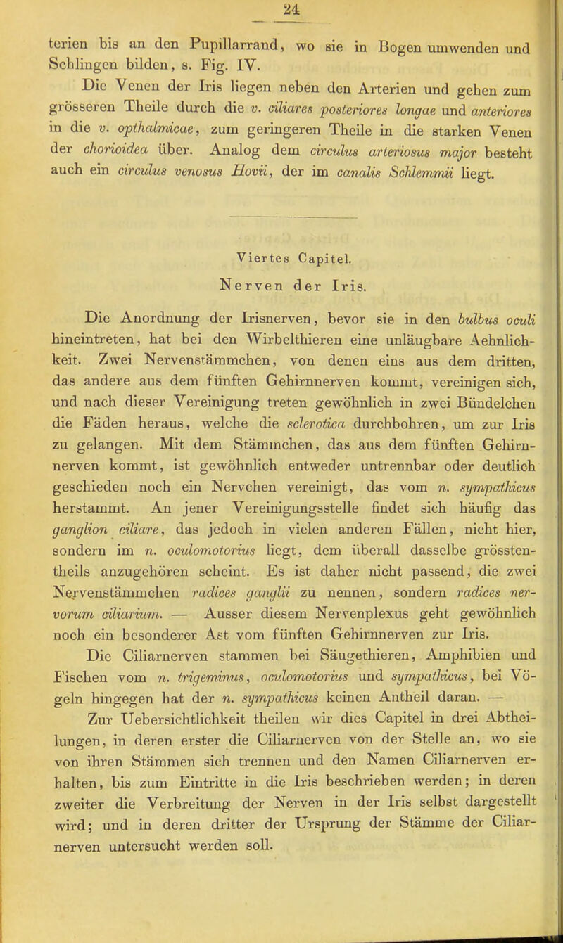 terien bis an den Pupillarrand, wo sie in Bogen uniwenden und Schlingen bilden, s. Fig. IV. Die Venen der Iris liegen neben den Arterien und gehen zum grösseren Theile durch die v. ciliares ‘posteriores longae und anteriores in die v. opthalmicae, zum geringeren Theile in die starken Venen der chorioidea über. Analog dem circulus arteriosus major besteht auch ein circulus venosus Hovii, der im canalis Schlemmii Hegt. Viertes Capitel. Nerven der Iris. Die Anordnimg der Irisnerven, bevor sie in den bulbus oculi hineintreten, hat bei den Wirbelthieren eine unläugbare Aehnlich- keit. Zwei Nervenstämmchen, von denen eins aus dem dritten, das andere aus dem fünften Gehirnnerven kommt, vereinigen sich, und nach dieser Vereinigung treten gewöhnlich in zwei Bündelchen die Fäden heraus, welche die sclerotica durchbohren, um zur Iris zu gelangen. Mit dem Stämmchen, das aus dem fünften Gehirn- nerven kommt, ist gewöhnlich entweder untrennbar oder deutlich geschieden noch ein Nervchen vereinigt, das vom n, sympathicus herstammt. An jener Vereinigungsstelle findet sich häufig das ganglion ciliare, das jedoch in vielen anderen Fällen, nicht hier, sondern im n. oculomotorius liegt, dem überall dasselbe grössten- theils anzugehören scheint. Es ist daher nicht passend, die zwei Nervenstämmchen radices ganglii zu nennen, sondern radices ner- vorum ciliarium. — Ausser diesem Nervenplexus geht gewöhnlich noch ein besonderer Ast vom fünften Gehirnnerven zur Iris. Die Ciliarnerven stammen bei Säugethieren, Amphibien und h'ischen vom n. trigeminus, oculomotorius und sympathicus, bei Vö- geln hingegen hat der n. sympathicus keinen Antheil daran. — Zur Uebersichtlichkeit theilen wir dies Capitel in drei Abthei- lungen, in deren erster die Ciliarnerven von der Stelle an, wo sie von ihren Stämmen sich trennen und den Namen Ciliarnerven er- halten, bis zum Eintritte in die Iris beschrieben werden; in deren zweiter die Verbreitung der Nerven in der Iris selbst dargestellt wird; und in deren dritter der Ursprung der Stämme der Ciliar- nerven untersucht werden soll.