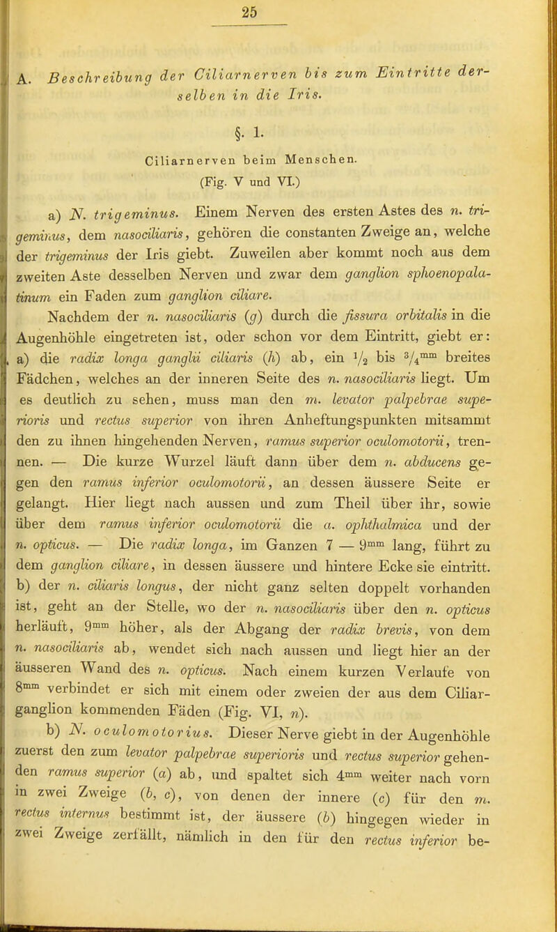 ! A. Beschreibung der Ciliarnerven bis zum Eintritte der- selben in die Iris. §. 1. Ciliarnerven beim Menschen. (Fig. V und VI.) I a) JV. trigeminus. Einem Nerven des ersten Astes des n. tri- » geminus, dem nasocäiaris, gehören die constanten Zweige an, welche Ider trigeminus der Iris giebt. Zuweilen aber kommt noch aus dem zweiten Aste desselben Nerven und zwar dem ganglion sphoenopala- tinum ein Faden zum ganglion ciliare. Nachdem der n. nasociliaris (g) durch die fissura orbitalis in die Augenhöhle eingetreten ist, oder schon vor dem Eintritt, giebt er: , a) die radix longa ganglii ciliaris (h) ab, ein V2 bis 3/^“™ breites Fädchen, welches an der inneren Seite des n. nasociliaris liegt. Um es deutlich zu sehen, muss man den m. levator palpebrae supe- rioris und rectus superior von ihren Anheftungspunkten mitsammt den zu ihnen hingehenden Nerven, ramus superior oculomotorii, tren- nen. ■— Die kurze Wurzel läuft dann über dem n. abducens se- gen den ramus inferior oculomotorii, an dessen äussere Seite er gelangt. Hier liegt nach aussen und zum Theil über ihr, sowie über dem ramus inferior oculomotorii die a. oplithalmica und der n. opticus. — Die radix longa, im Ganzen 7 — 9™“ lang, führt zu dem ganglion ciliare, in dessen äussere und hintere Ecke sie eintritt. b) der n. ciliaris longus, der nicht ganz selten doppelt vorhanden ist, geht an der Stelle, wo der n. nasociliaris über den n. opticus herläuft, 9““ höher, als der Abgang der radix brevis, von dem n. nasociliaris ab, wendet sich nach aussen und liegt hier an der äusseren Wand des n. opticus. Nach einem kurzen Verlaufe von gmm verbindet er sich mit einem oder zweien der aus dem Ciliar- ganghon kommenden Fäden (Fig. VI, n). b) iV. oculomotorius. Dieser Nerve giebt in der Augenhöhle zuerst den zum levator palpebrae superioris und rectus superior gehen- den ramus superior (a) ab, und spaltet sich 4““ weiter nach vorn m zwei Zweige {b, c), von denen der innere (c) für den m. rectus internus bestimmt ist, der äussere (b) hingegen wieder in zwei Zweige zerfällt, nämlich in den für den rectus inferior be-