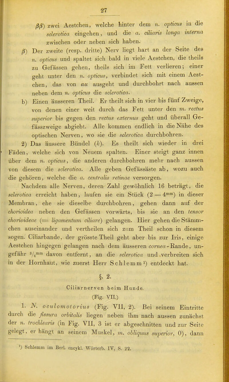 ßß) zwei Aestchen, welche hinter dem n. opticus in die sclerotica eingehen, und die a. ciliaris longa interna zwischen oder neben sich haben. ß) Der zweite (resp., dritte) Nerv liegt hart an der Seite des n. opticus und spaltet sich bald in viele Aestchen, die theils zu Gefässen gehen, theils sich im Fett verlieren; einer geht unter den n. opticus, verbindet sich mit einem Aest- chen, das von aa ausgeht und durchbohrt nach aussen neben dem n. opticus die sclerotica. b) Einen äusseren Theil. Er theilt sich in vier bis fünf Zweige, von denen einer weit durch das Fett unter den m. rectus supeiior bis gegen den rectus externus geht und überall Ge- fässzweige abgiebt. Alle kommen endlich in die Nähe des optischen Nerven, wo sie die sclerotica durchbohren. 2) Das äussere Bündel (k). Es theilt sich wieder in drei Fäden, welche sich von Neuem spalten. Einer steigt ganz innen über dem n. opticus, die anderen durchbohren mehr nach aussen von diesem die sclerotica. Alle geben Gefässäste ab, wozu auch die gehören, welche die a. centralis retinae versorgen. Nachdem alle Nerven, deren Zahl gewöhnlich 16 beträgt, die sclei'otica erreicht haben, laufen sie ein Stück (2 — 4““) in dieser Membran, ehe sie dieselbe durchbohren, gehen dann auf der chorioidea neben den Gefässen vorwärts, bis sie an den tensor chorioideae (= ligamentum ciliare) gelangen. Hier gehen die Stämm- chen auseinander und vertheilen sich znm Theil schon in diesem sogen. Ciliarbande, der grösste Theil geht aber bis zur Iris, einige Aestchen hingegen gelangen nach dem äusseren coTOßa-Bande, un- gefähr 3/4™™ davon entfernt, an die sclerotica und-verbreiten sich in der Hornhaut, wie zuerst Herr Schlemm i) entdeckt hat. §. 2. Ciliarnerven beim Hunde. (Fig. VII.) 1. N. oculomotorius (Fig. VH, 2). Bei seinem Eintritte durch die fissura orhitalis liegen neben ihm nach aussen zunächst der n. trochlearis (in Fig. VH, 3 ist er abgeschnitten und zur Seite gelegt, er hängt an seinem Muskel, m. obliquus superior, 0), dann ’) Schlemm im Berl. encykl. Wörterb. IV, S. 22.