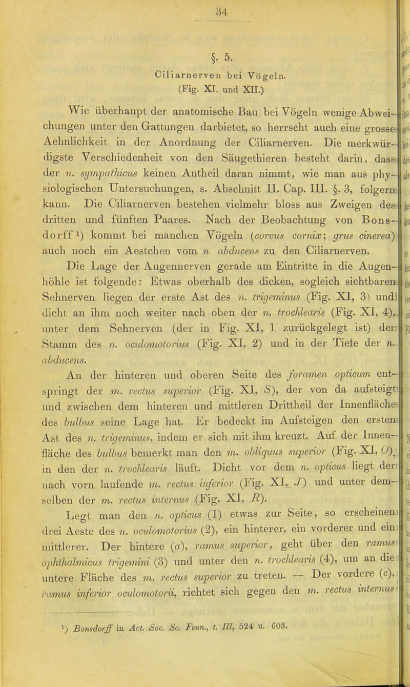 :h §. 5. Cüiiirnerven bei Vögeln. fFig. XI, und XII.) r Wie überhaupt der anatomische Bau bei Vögeln wenige Abwei- chungen unter den Gattungen darbietet, so herrscht auch eine grosse Aehnlichkeit in der Anordnung der Ciliarnerven. Die merkwür- digste Verschiedenheit von den Säugethieren besteht darin, dass der n. sympathicus keinen Antheil daran nimmt, wie man aus phy- siologischen Untersuchungen, s. Abschnitt 11. Cap. 111. §. 3, folgern kann. Die Ciliarnerven bestehen vielmehr bloss aus Zweigen des- dritten und fünften Paares. Nach der Beobachtung von Bons- dorff i) kommt bei manchen Vögeln [corvus cornix; grus cinerea) auch noch ein Aestchen vom n. abducens zu den Ciliarnerven. Die Lage der Augenuerven gerade am Eintritte in die Augen- höhle ist folgende: Etwas oberhalb des dicken, sogleich sichtbarem Sehnerven liegen der erste Ast des n. tiigeminus (Fig. XI, 3) undl dicht an ihm noch weiter nach oben der n. trochlearis (Fig. XI, 4), unter dem Sehnerven (der in Fig. XI, 1 zurückgelegt ist) der. Stamm des n. oculomotoiius (Fig. XI, 2) imd in der Tiefe der n abducens. Au der hinteren und oberen Seite des foramen opticum ent- springt der m. rectus superior (Fig. XI, S), der von da aufsteigt und zwischen dem hinteren und mittleren Drittheil der Innenfläche des bulbus seine Lage hat. Er bedeckt im Aufsteigen den erstem Ast des n. trigeminus, indem er sich mit ihm kreuzt. Auf der Innen- fläche des bulbus bemerkt man den m. obliquus superior (lig- XI, 0)\ in den der n. trochlearis läuft. Dicht vor dem n. opticus liegt der nach vorn laufende m. rectus inferior (lig- XI, ./) und unter dem- selben der m. rectus internus (Fig. XI, R). Legt man den n. opticus (1) etwas zur Seite, so erscheinen drei Aeste des n. oculomotorius (2), ein hinterer, ein vorderer und ein mittlerer. Der hintere (n), ramus superior, geht über den ramus ophthalmicus trigemini (3) und unter den n. trochleans (4), um an die untere Fläche des rn. rectus superior zu treten. Der vordere (c), ramus inferior oculomotorii, richtet sich gegen den w. rectus internus- ') Bonsdorff in Act. Soc. Sc. Fenn., t. III, 524 ü. G03. l5i «1' IfJ
