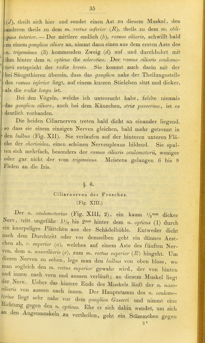 (J), theilt sich hier und sendet einen Ast zu diesem Muskel, den anderen theils zu dem m. rectus inferior {H), theils zu dem m. obli- quus interior. — Der mittlere endlich (6), ramm ciliaris, schwillt bald zu einem ganglion ciliare an, nimmt dann einen aus dem ersten Aste des n. trigeminm (3) kommenden Zweig (d) auf und durchbohrt mit ^ ihm hinter dem n. opticus die sclerotica. Der ramm ciliaris oculomo- torii entspricht der radix brevis. Sie kommt auch darin mit der hei Säugethieren überein, dass das ganglion nahe der Theilungsstelle des ramm inferior liegt, auf einem kurzen Stielchen sitzt und dicker, als die radix longa ist. ' Bei den Vögeln, welche ich untersucht habe, fehlte niemals das ganglion ciliare, auch bei dem Käuzchen, strix passerina, ist es deutlich vorhanden. Die beiden Ciliarnerven treten bald dicht an einander liegend, so dass sie einem einzigen Nerven gleichen, bald mehr getrennt in ‘ den bulbm (Fig. XII). Sie verlaufen auf der hinteren unteren Flä- che der chorioidea, einen schönen Nervenplexus bildend. Sie spal- ten sich mehrfach, besonders der ramm ciliaris oculomotorii, weniger oder gar nicht der vom trigeminm. Meistens gelangen 6 bis 8 Fäden an die Iris. §. 6. \ Ciliarnerven des Frosches. (Fig. xm.) Der n. oculomotorim (Fig. XIII, 2), ein kaum V2““ dicker Nerv, tritt ungefähr I1/2 bis 2““ hinter dem n. opticus (1) durch ein knorpeliges Plättchen aus der Schädelhöhle. Entweder dicht nach dem Durchtritt oder vor demselben geht ein dünnes Aest- chen ab, r. superior (a), welches auf einem Aste des fünften Ner- ven, dem n. nasodliaris (e), zum m. rectus supenor (i2) hingeht. Um diesen Nerven zu sehen, lege man den bidbus von oben bloss, wo man sogleich den m. rectus superior gewahr wird, der von hinten und innen nach vorn und aussen verläuft; an diesem Muskel liegt der Nerv. Ueber das hintere Ende des Muskels läuft der n. naso- dliaris von aussen nach innen. Der Hauptstamm des n. oculomo- t^m liegt sehr nahe vor dem ganglion Gasseri und nimmt eine IC tung gegen den n. opticus. Ehe er sich dahin wendet, um sich an den Augenmuskeln zu vertheilen, geht ein Stämmchen gegen 3*