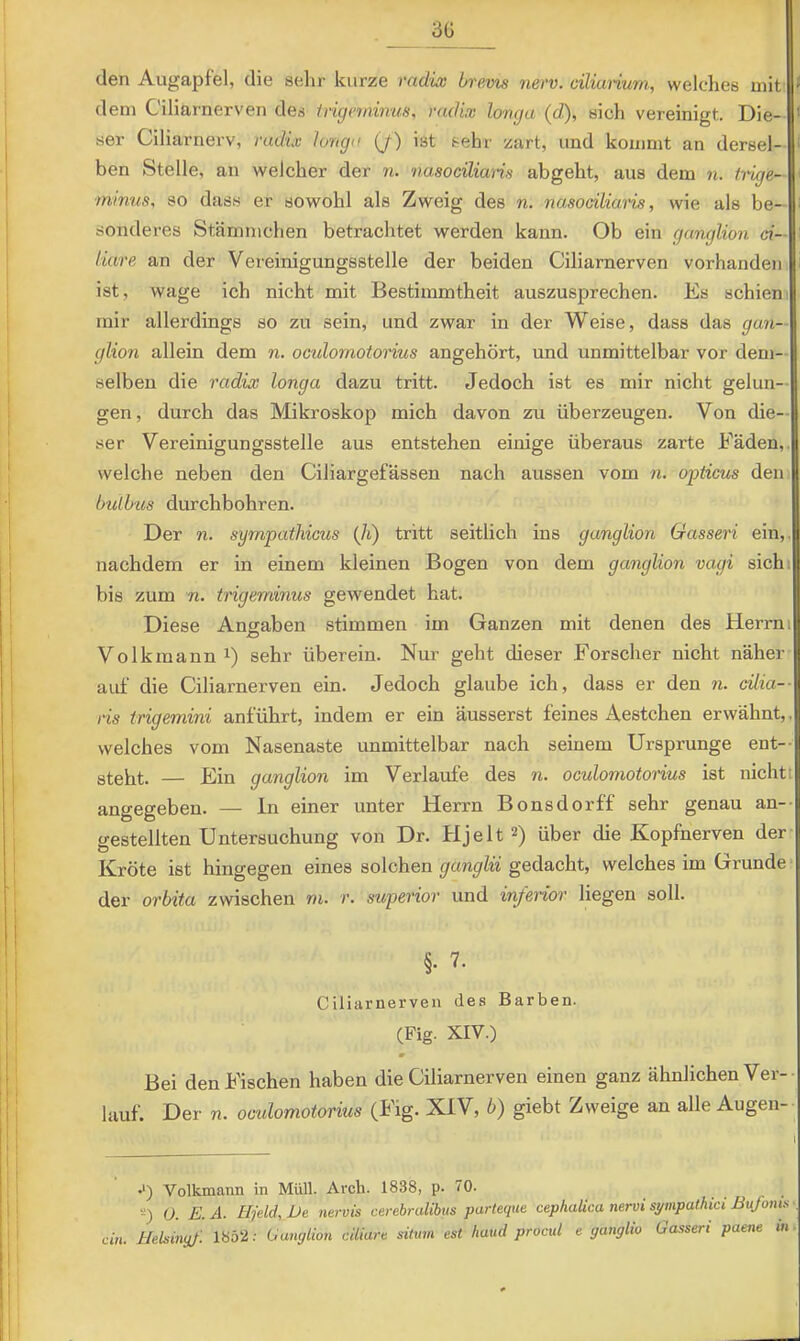 3ü den Augapfel, die selir kurze radix brems nerv, ciliunum, welches mit » dem Ciliarnerven des ivigerninus, radix longa (d), sich vereinigt. Die- ser Ciliarnerv, radix longa (j) ist sehr zart, und kommt an dersel- ben Stelle, an welcher der n. nasocilians abgeht, aus dem n. trige- minus, so dass er sowohl als Zweig des n. nasociliaris, wie als be- sonderes Stämnichen betrachtet werden kann. Ob ein ganglion ci- liare an der Vereinigungsstelle der beiden Ciliarnerven vorhanden ist, wage ich nicht mit Bestimmtheit auszusprechen. Es schien mir allerdings so zu sein, und zwar in der Weise, dass das gun— glion allein dem n. oculomotorius angehört, und unmittelbar vor dem- selben die radix longa dazu tritt. Jedoch ist es mir nicht gelun- gen, durch das Mikroskop mich davon zu überzeugen. Von die- ser Vereinigungsstelle aus entstehen einige überaus zarte Fäden,, welche neben den Ciliargefässen nach aussen vom n. opticus den bulbus durchbohren. Der n. sympathicus (Ji) tritt seitlich ins ganglion Gasseri ein,, nachdem er in einem kleinen Bogen von dem ganglion vagi sichi bis zum n. trigeminus gewendet hat. Diese Angaben stimmen im Ganzen mit denen des Herrni Volkmann 1) sehr überein. Nur geht dieser Forscher nicht näher auf die Ciliarnerven ein. Jedoch glaube ich, dass er den n. cilia— ris trigemini anführt, indem er ein äusserst feines Aestchen erwähnt,, welches vom Nasenaste unmittelbar nach seinem Ursprünge ent-- ateht. — Ein ganglion im Verlaufe des n. oculomotorius ist nicht t angegeben. — ln einer unter Herrn Bonsdorff sehr genau an-- gestellten Untersuchung von Dr. Hjelt 2) über die Kopfnerven der Kröte ist hingegen eines solchen gedacht, welches im Grunde“ der orbita zwischen m. r. superior und inferior liegen soll. §. 7. Ciliarnerven des Barben. (Fig. XIV.) m Bei den Fischen haben die Ciliarnerven einen ganz ähnlichen Ver-- lauf. Der n. oculomotorius (Fig. XIV, b) giebt Zweige an alle Augen- •') Volkmann in Müll. Arch. 1838, p. 70. f I a E. A. Hjeld, De nervis cerebralibus parteque cephaUca nervi sympathici Bujonis ■. ! I ein. Helsinyf. 1852; Uanglion ciliare sitmn est haud procul e ganglio Gasseri paene m \ \ i