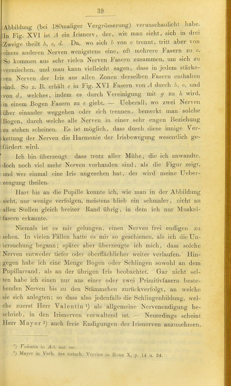 Abbildung (bei ISOinaliger Vergrösserung) veranachauliclit habe, ln Fig. XVI ist A ein Irisnerv, der, wie man sieht, sich in drei !Zweige theilt b, c, d. Da, wo sich b von 0 trennt, tritt aber von einem anderen Nerven wenigstens eine, oft mehrere Fasern zu c. 'So kommen aus sehr vielen Nerven lasern zusammen, um sich zu vermischen, und man kann vielleicht sagen, dass in jedem stärke- ren Nerven der Iris aus allen Zonen derselben Fasern enthalten sind. So z. B. erhält e in Fig. XVI Fasern von A durch b, c, und jvon d, welches, indem es durch Vereinigung mit g zu h wird, in einem Bogen Fasern zu e giebt. — Ueberall, wo zwei Nerven I über einander Weggehen oder sich trennen, bemerkt man solche I Bogen, durch welche alle Nerven in einer sehr engen Beziehung ! zu stehen scheinen. Es ist möglich, dass durch diese innige Ver- kettung der Nerven die Harmonie der Irisbewegung wesentlich ge- fördert wird. ' Ich bin überzeugt dass trotz aller Mühe, die ich anwandte, doch noch viel mehr Nerven vorhanden sind, als die Figur zeigt, imd wer einmal eine Iris angesehen hat, der wird meine Ueber- zeugung theilen. Hart bis an die Pupille konnte ich, wie man in der Abbildung sieht, nur wenige verfolgen, meistens blieb ein schmaler, nicht an allen Stellen gleich breiter Rand übrig, in dem ich nur Muskel- fasern erkannte. Niemals ist es mir gelungen, einen Nerven frei endigen zu sehen. In vielen Fällen hatte es mir so geschienen, als ich die Un- tersuchung begann; später aber überzeugte ich mich, dass solche Nerven entweder tiefer oder oberflächlicher weiter verlaufen. Hin- gegen habe ich eine Menge Bogen oder Schlingen sowohl an dem Pupillarrand, als an der übrigen Ii’is beobachtet. Gar nicht sel- ten habe ich einen nur aus einer oder zwei Primitivfasern beste- henden Nerven bis zu den Stämmchen zurückverfolgt, an welche sie sich anlegten; so dass also jedenfalls die Schlingenbildung, wel- che zuerst Herr Valentin 1) als allgemeine Nervenendigung be- schrieb, in den Irisnerven vorwaltend ist. — Neuerdings scheint Herr Mayer auch freie Endigungen der Irisnerven anzunehmen, ') Vahn/in in Act. nal. cur. Mayer in Verli. des initurh. Vereins in Bonn X, p. 14 u. 34.