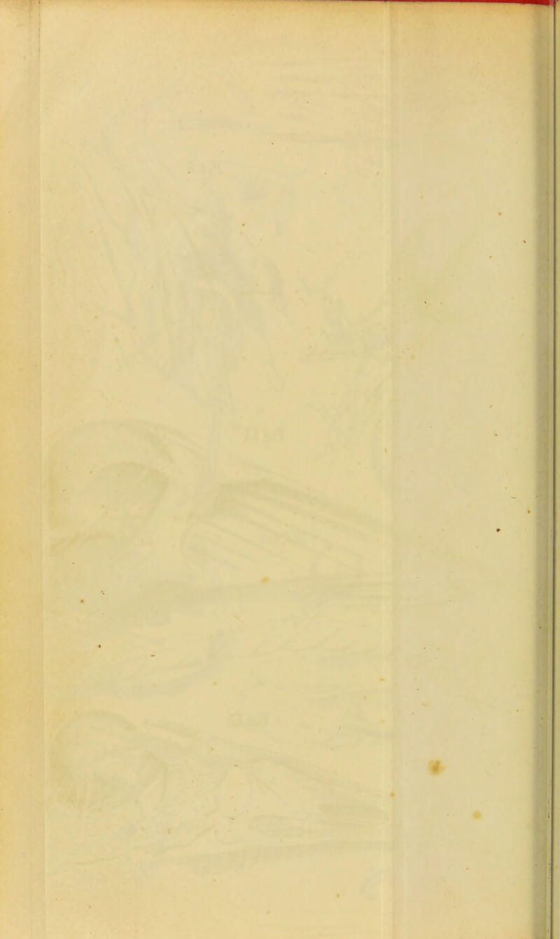 p ■r • ( \ ß ♦