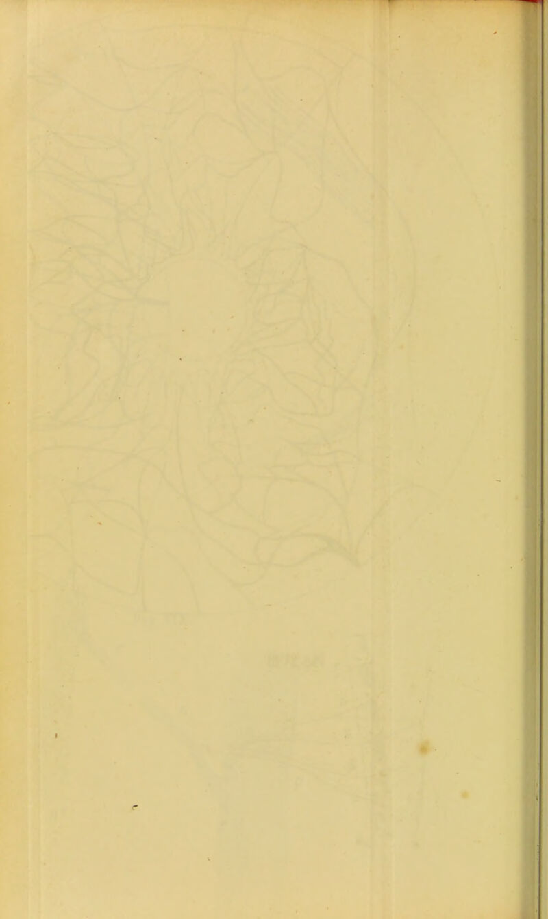 I ; i I i I / \ -• >- \ I r