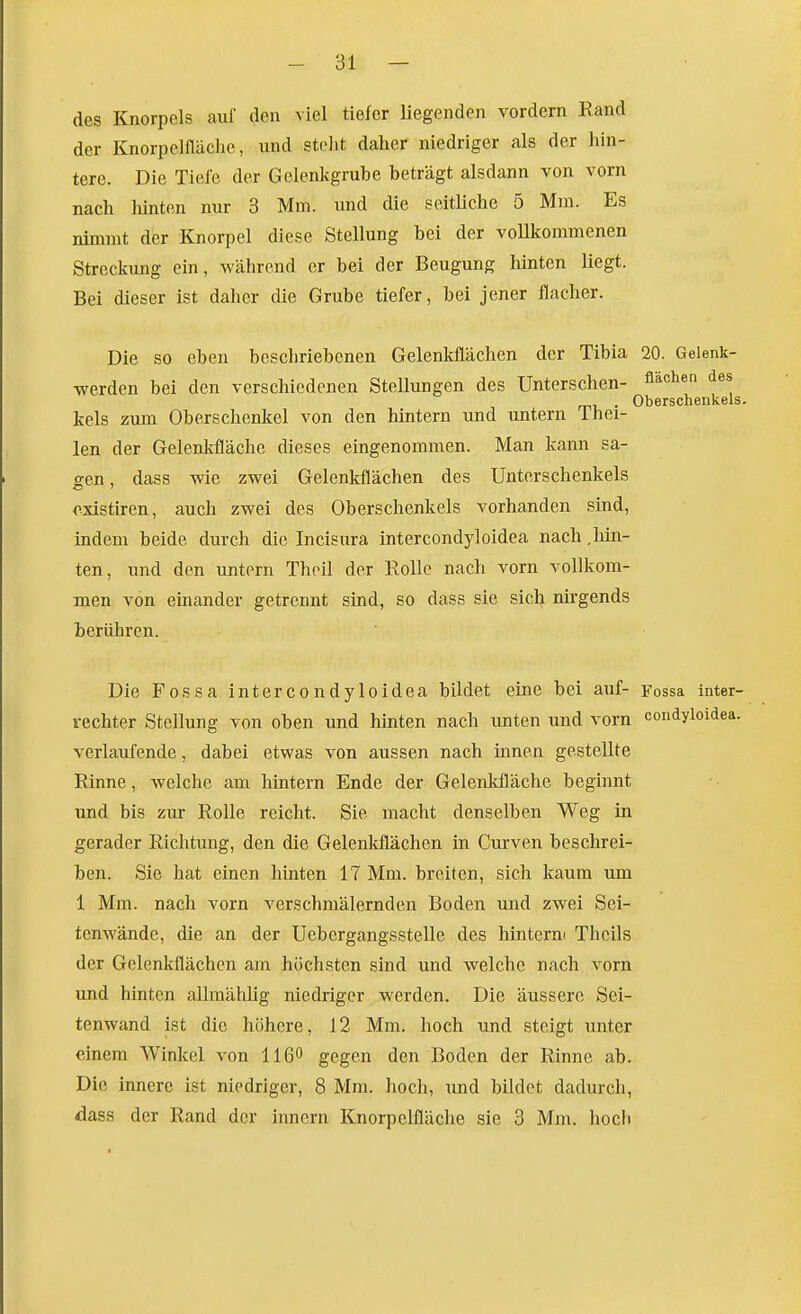 des Knorpels auf den viel tiefer liegenden vordem Fand der Knorpelfläche, und steht daher niedriger als der hin- tere. Die Tiefe der Gelenkgrube beträgt alsdann von vorn nach hinten nur 3 Mm. und die seitliche 5 Min. Es nimmt der Knorpel diese Stellung bei der vollkommenen Streckung ein, während er bei der Beugung hinten liegt. Bei dieser ist daher die Grube tiefer, bei jener flacher. Die so eben beschriebenen Gelenkflächen der Tibia 20. Gelenk- werden bei den verschiedenen Stellungen des Unterschen- ^ä«^« , . Oberschenkels, kels zum Oberschenkel von den hintern und untern 1 hei- len der Gelenkfläche dieses eingenommen. Man kann sa- gen , dass wie zwei Gelenkflächen des Unterschenkels existiren, auch zwei des Oberschenkels vorhanden sind, indem beide durch die Incisura intercondyloidea nach .Mu- ten, und den untern Theil der Rolle nach vorn vollkom- men von einander getrennt sind, so dass sie sicl^ nirgends berühren. Die Fossa intercondyloidea bildet eine bei auf- Fossa inter- rechter Stellung von oben und hinten nach unten und vorn condyloidea. verlaufende, dabei etwas von aussen nach innen gestellte Rinne, welche am hintern Ende der Gelenkfläche beginnt und bis zur Rolle reicht. Sie macht denselben Weg in gerader Richtung, den die Gelenldlächen in Curven beschrei- ben. Sie hat einen hinten 17 Mm. breiten, sich kaum um 1 Mm. nach vorn verschniälernden Boden und zwei Sei- tenwände, die an der Uebergangsstelle des hinterm Theils der Gelenkflächen am höchsten sind und welche nach vorn und hinten allmählig niedriger werden. Die äussere Sei- tenwand ist die höhere, 12 Mm. hoch und steigt unter einem AVinkel von 116 gegen den Boden der Rinne ab. Die innere ist niedriger, 8 Mm. hoch, tmd bildet dadurch, dass der Rand der Innern Knorpelfläche sie 3 Mm. hoch