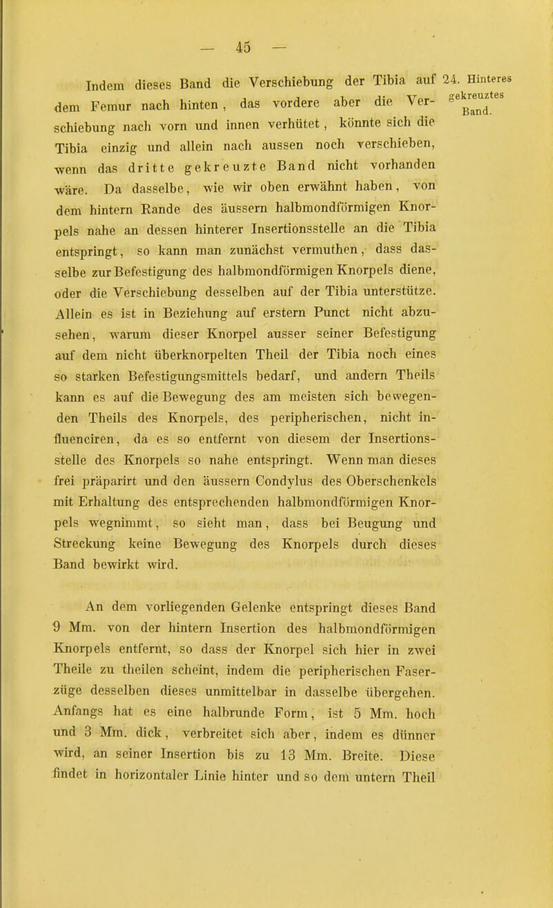 Indem dieses Band die Verschiebung der Tibia auf 24. Hinteres dem Femur nach hinten, das vordere aber die Ver- ^^g^*^^*^' Schiebung nach vorn und innen verhütet, könnte sich die Tibia einzig und allein nach aussen noch verschieben, wenn das dritte gekreuzte Band nicht vorhanden wäre. Da dasselbe, wie wir oben erwähnt haben, von dem hintern Rande des äussern halbmondförmigen Knor- pels nahe an dessen hinterer Insertionsstelle an die Tibia entspringt, so kann man zunächst vermuthen, dass das- selbe zur Befestigung des halbmondförmigen Knorpels diene, oder die Verschiebung desselben auf der Tibia unterstütze. Allein es ist in Beziehung auf erstem Punct nicht abzu- sehen, warum dieser Knorpel ausser seiner Befestigung auf dem nicht überknorpelten Theil der Tibia noch eines so starken Befestigungsmittels bedarf, und andern Theils kann es auf die Bewegung des am meisten sich bewegen- den Theils des Knorpels, des peripherischen, nicht in- fluenciren, da es so entfernt von diesem der Insertions- stelle des Knorpels so nahe entspringt. Wenn man dieses frei präparirt und den äussern Condylus des Oberschenkels mit Erhaltung des entsprechenden halbmondförmigen Knor- pels wegnimmt, so sieht man, dass bei Beugung und Streckung keine Bewegung des Knorpels durch dieses Band bewirkt wird. An dem vorliegenden Gelenke entspringt dieses Band 9 Mm. von der hintern Insertion des halbmondförmigen Knorpels entfernt, so dass der Knorpel sich hier in zwei Theile zu theilen scheint, indem die peripherischen Faser- züge desselben dieses unmittelbar in dasselbe übergehen. Anfangs hat es eine halbrunde Form, ist 5 Mm. hoch und 3 Mm. dick, verbreitet sich aber, indem es dünner wird, an seiner Insertion bis zu 13 Mm. Breite. Diese findet in horizontaler Linie hinter und so dem untern Theil