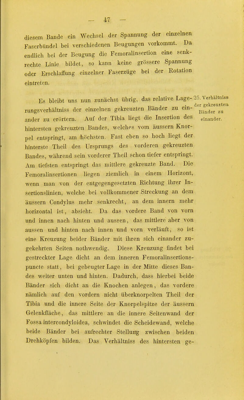 diesem Bande ein Wechsel der Spannung der einzelnen Faserbiindel bei verschiedenen Beugungen vorkommt. Da endUch bei der Beugung die Femoralinsertion eine senk- rechte Linie bildet, so kann keine grössere Spannung oder Erschlaffung einzelner Faserzüge bei der Rotation eintreten. Es bleibt uns nun zunächst übrig, das relative Lage-25. Verhältnis^ T-,.. j • der gekreuzteil rungsverhältniss der einzelnen gekreuzten Bander zu em- ^„^^^^ ander zu erörtern. Auf der Tibia liegt die Insertion des einander. hintersten gekreuzten Bandes, welches vom äussern Knor- pel entspringt, am höchsten. Fast eben so hoch liegt der hinterste Theil des Ursprungs des vorderen gekreuzten Bandes, während sein vorderer Theil schon tiefer entspringt. Am tiefsten entspringt das mittlere gekreuzte Band. Die Femoralinsertionen liegen ziemlich in einem Horizont, wenn man von der entgegengesetzten Richtung ihrer In- sertionslinien, welche bei vollkommener Streckung an dem äussern Condylus mehr senkrecht, an dem Innern mehr horizontal ist, absieht. Da das vordere Band von vorn und innen nach hinten und aussen, das mittlere aber von aussen und hinten nach innen und vorn verläuft, so ist eine Kreuzung beider Bänder mit ihren sich einander zu- gekehrten Seiten nothwendig. Diese Kreuzung findet bei gestreckter Lage dicht an dem inneren Femoralinsertions- puncte statt, bei gebeugter Lage in der Mitte dieses Ban- des weiter unten und hinten. Dadurch, dass hierbei beide Bänder sich dicht an die Knochen anlegen, das vordere nämlich auf den vordem nicht überknorpelten Theil der Tibia und die innere Seite der Knorpelspitze der äussern Gelenkfläche, das mittlere an die innere Seitenwand der Fossa intercondyloidea, schwindet die Scheidewand, welche beide Bänder bei aufrechter Stellung zwischen beiden Drehköpfen bilden. Das Verhältniss des hintersten ge- 1