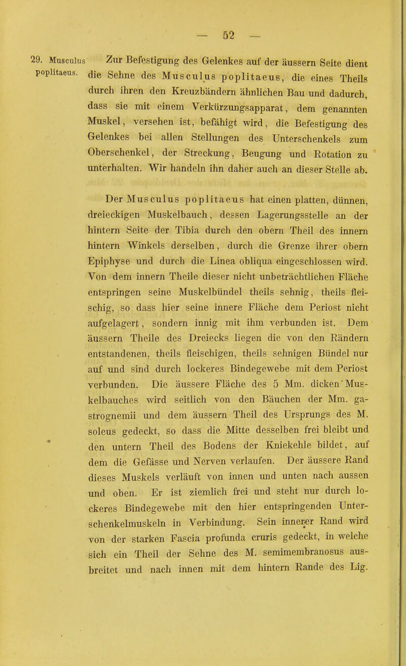 29. Musculus Ziir Befestigung des Gelenkes auf der äussern Seite dient poplitaeus. die Sehne des Musculus poplitaeus, die eines Theils durch ihren den Kreuzbändern ähnlichen Bau und dadurch, dass sie mit einem Verkürzungsapparat, dem genannten Muskel, versehen ist, befähigt wird, die Befestigung des Gelenkes bei allen Stellungen des Unterschenkels zum Oberschenkel, der Streckung, Beugung und Rotation zu unterhalten. Wir handeln ihn daher auch an dieser Stelle ab. Der Musculus poplitaeus hat einen platten, dünnen, dreieckigen Muskelbauch, dessen Lagerungsstelle an der hintern Seite der Tibia durch den obern Theil des innem hintern Winkels derselben, durch die Grenze ihrer obern Epiphyse und durch die Linea obliqua eingeschlossen wird. Von dem Innern Theile dieser nicht unbeträchtlichen Fläche entspringen seine Muskelbündel theils sehnig, theils flei- schig, so dass hier seine innere Fläche dem Periost nicht aufgelagert, sondern innig mit ihm A-erbunden ist. Dem äussern Theile des Dreiecks liegen die von den Rändern entstandenen, theils fleischigen, theils selmigen Bündel nur auf und sind durch lockeres Bindegewebe mit dem Periost verbunden. Die äussere Fläche des 5 Mm. dicken Mus- kelbauches wird seitlich von den Bäuchen der Mm. ga- strognemii und dem äussern Theil des Ursprungs des M. soleus gedeckt, so dass die Mitte desselben frei bleibt und den untern Theil des Bodens der Kniekehle bildet, auf dem die Gefässe und Nerven verlaufen. Der äussere Rand dieses Muskels verläuft von innen und unten nach aussen und oben. Er ist ziemlich frei und steht nur durch lo- ckeres Bindegewebe mit den hier entspringenden Unter- schenkelmuskeln in Verbindung. Sein inner^er Rand wird von der starken Fascia profunda cruris gedeckt, in welche sich ein Theil der Sehne des M. semimembranosus aus- breitet und nach innen mit dem Mntern Rande des Lig.