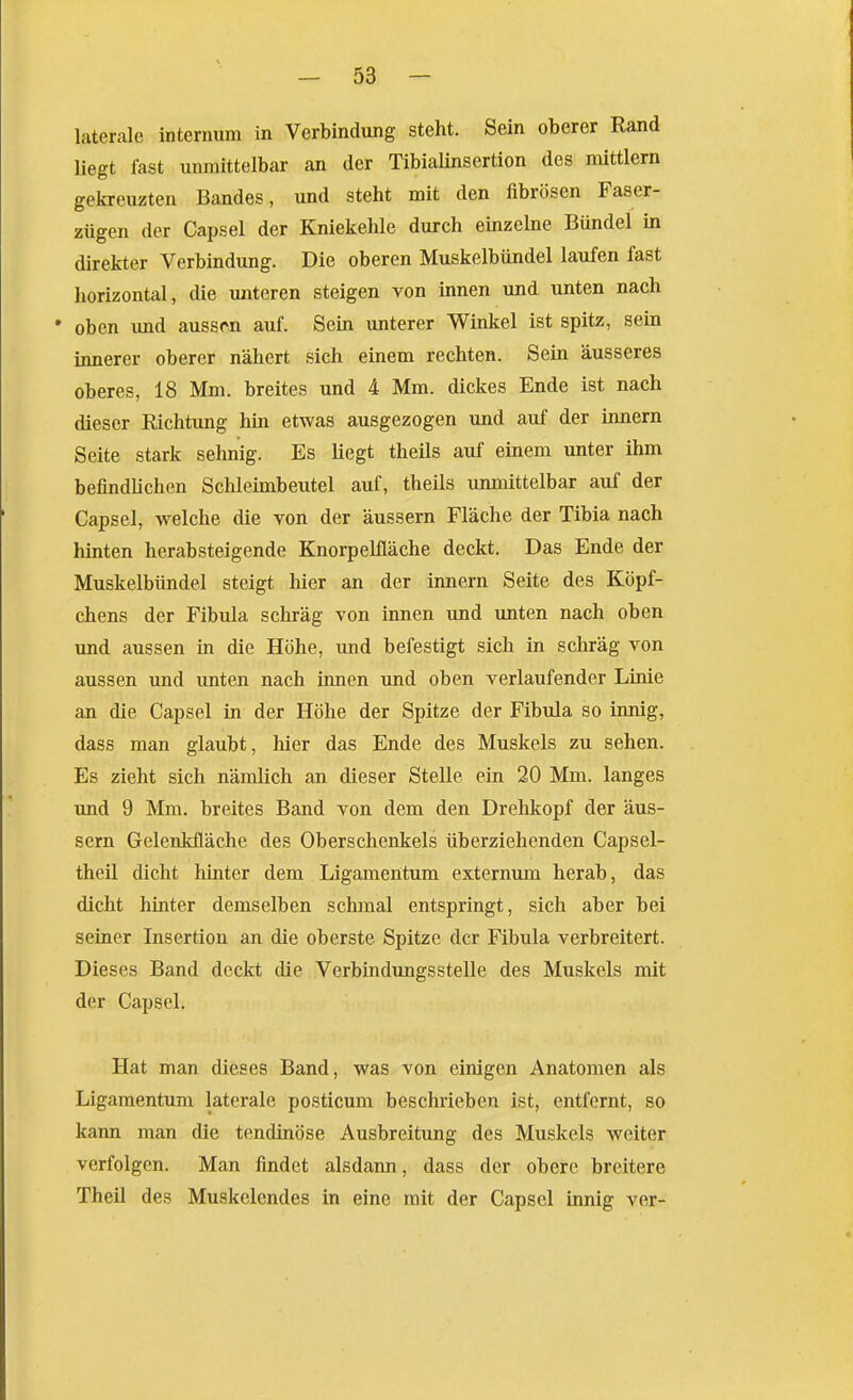 laterale interniim in Verbindung steht. Sein oberer Rand liegt fast unmittelbar an der Tibialinsertion des mittlem gekreuzten Bandes, und steht mit den fibrösen Faser- zügen der Capsel der Kniekehle durch einzelne Bündel in direkter Verbindung. Die oberen Muskelbündel laufen fast horizontal, die unteren steigen von innen und unten nach • oben und aussen auf. Sein unterer Winkel ist spitz, sein innerer oberer nähert sich einem rechten. Sein äusseres oberes, 18 Mm. breites und 4 Mm. dickes Ende ist nach dieser Richtung hin etwas ausgezogen und auf der innern Seite stark sehnig. Es liegt theils auf einem unter ihm befindlichen Schleimbeutel auf, theils unmittelbar auf der Capsel, welche die von der äussern Fläche der Tibia nach hinten herabsteigende Knorpelfläche deckt. Das Ende der Muskelbündel steigt hier an der innern Seite des Köpf- chens der Fibula schräg von innen und unten nach oben und aussen in die Höhe, und befestigt sich in schräg von aussen und unten nach imien und oben verlaufender Linie an die Capsel in der Höhe der Spitze der Fibula so innig, dass man glaubt, hier das Ende des Muskels zu sehen. Es zieht sich nämlich an dieser Stelle ein 20 Mm. langes und 9 Mm. breites Band von dem den Drehkopf der äus- sern Gelenkfläche des Oberschenkels überziehenden Capsel- theil dicht hinter dem Ligamentum externum herab, das dicht hinter demselben schmal entspringt, sich aber bei seiner Insertion an die oberste Spitze der Fibula verbreitert. Dieses Band deckt die Verbindimgsstelle des Muskels mit der Capsel. Hat man dieses Band, was von einigen Anatomen als Ligamentum laterale posticum beschrieben ist, entfernt, so kann man die tendinöse Ausbreitung des Muskels weiter verfolgen. Man findet alsdann, dass der obere breitere Theil des Muskelendes in eine mit der Capsel innig ver-