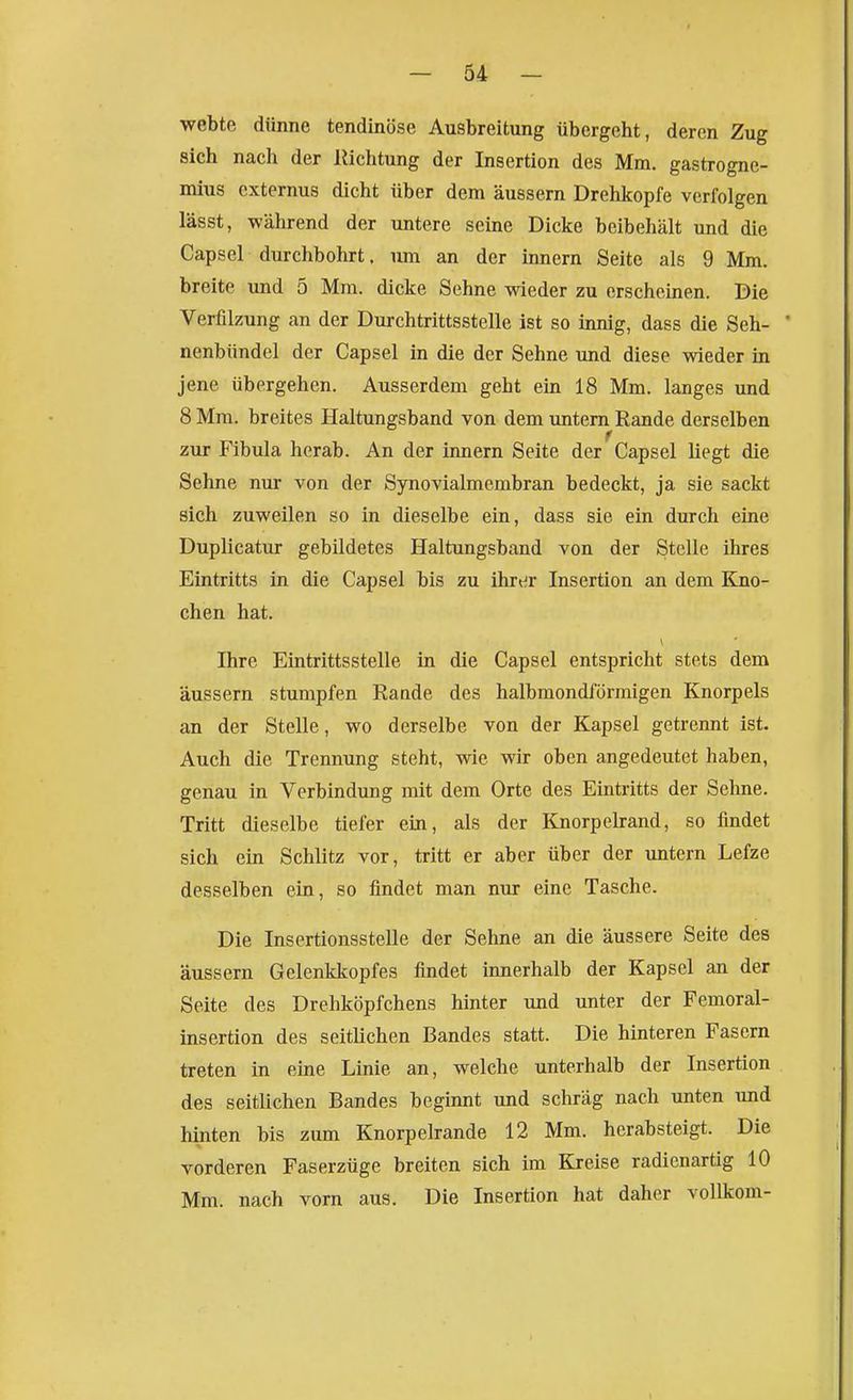 ■webte dünne tendinöse Ausbreitung übergeht, deren Zug sich nach der Richtung der Insertion des Mm. gastrogne- mius cxternus dicht über dem äussern Drehkopfe verfolgen lässt, während der untere seine Dicke beibehält und die Capsel durchbohrt. um an der innern Seite als 9 Mm. breite und 5 Mm. dicke Sehne wieder zu erscheinen. Die Verfilzung an der Durchtrittsstelle ist so innig, dass die Seh- nenbündel der Capsel in die der Sehne und diese wieder in jene übergehen. Ausserdem geht ein 18 Mm. langes und 8 Mm. breites Haltungsband von dem untern Rande derselben zur P'ibula herab. An der innern Seite der Capsel liegt die Sehne nur von der Synovialmembran bedeckt, ja sie sackt sich zuweilen so in dieselbe ein, dass sie ein durch eine Duplicatur gebildetes Haltungsband von der Stelle ihres Eintritts in die Capsel bis zu ihrtir Insertion an dem Kiio- chen hat. Ihre Eintrittsstelle in die Capsel entspricht stets dem äussern stumpfen Raade des halbmondförmigen Knorpels an der Stelle, wo derselbe von der Kapsel getrennt ist. Auch die Trennung steht, wie wir oben angedeutet haben, genau in Verbindung mit dem Orte des Eintritts der Sehne. Tritt dieselbe tiefer ein, als der Knorpelrand, so findet sich ein Schlitz vor, tritt er aber über der untern Lefze desselben ein, so findet man nur eine Tasche. Die Insertionsstelle der Sehne an die äussere Seite des äussern Gelenkkopfes findet innerhalb der Kapsel an der Seite des Drehköpfchens hinter imd unter der Femoral- insertion des seitlichen Bandes statt. Die hinteren Fasern treten in eine Linie an, welche unterhalb der Insertion des seitlichen Bandes beginnt und schräg nach unten und hinten bis zum Knorpelrande 12 Mm. herabsteigt. Die vorderen Faserzüge breiten sich im Kreise radienartig 10 Mm. nach vorn aus. Die Insertion hat daher vollkom-