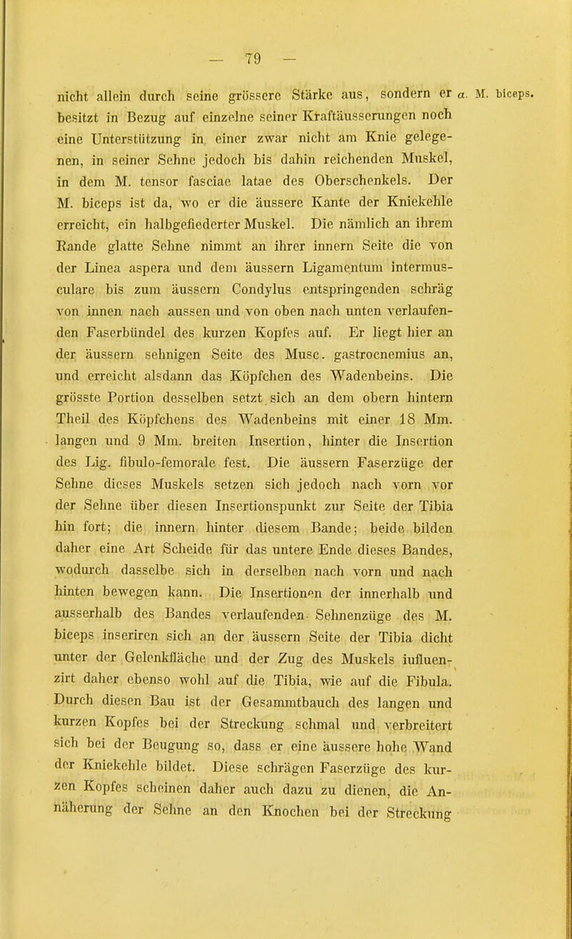 nicht allein durch seine grössere Stärke aus, sondern er a. M. biceps. besitzt in Bezug auf einzelne seiner Kraftäusscnmgcn noch eine Unterstützung in einer zwar nicht am Knie gelege- nen, in seiner Sehne jedoch bis dahin reichenden Muskel, in dem M. tensor fasciae latae des Oberschenkels. Der M. biceps ist da, wo er die äussere Kante der Kniekehle erreicht, ein halbgefiederter Muskel. Die nämlich an ihrem Rande glatte Sehne nimmt an ihrer Innern Seite die von der Linea aspera und dem äussern Ligamentum intermus- culare bis zum äussern Condylus entspringenden schräg von innen nach aussen und von oben nach unten verlaufen- den Faserbündel des kurzen Kopfes auf. Er liegt hier an der äussern sehnigen Seite des Muse, gastrocnemius an, und erreicht alsdann das Köpfchen des Wadenbeins. Die grösste Portion desselben setzt sich an dem obcrn hintern Theil des Köpfchens des Wadenbeins mit einer 18 Mm. langen und 9 Mm. breiten Insertion, hinter die Insertion des Lig. fibulo-femorale fest. Die äussern Faserzüge der Sehne dieses Muskels setzen sich jedoch nach vorn vor der Sehne über diesen Insertionspunkt zur Seite der Tibia hin fort; die Innern hinter diesem Bande; beide bilden daher eine Art Scheide für das untere Ende dieses Bandes, wodurch dasselbe sich in derselben nach vorn und nach hinten bewegen kann. Die Insertionen der innerhalb und ausserhalb des Bandes verlaufenden- Sehnenzüge des M. biceps inseriren sich an der , äussern Seite der Tibia dicht unter der Gelenkfläche und der Zug des Muskels iufluen- zirt daher ebenso wohl auf die Tibia, wie auf die Fibula. Durch diesen Bau ist der Gesammtbauch des langen und kurzen Kopfes bei der Streckung schmal und verbreitert sich bei der Beugung so, dass er eine äussere hohe Wand der Kniekehle bildet. Diese schrägen Faserzüge des kur- zen Kopfes scheinen daher auch dazu zu dienen, die An- näherung der Sehne an den Knochen bei der Streckung