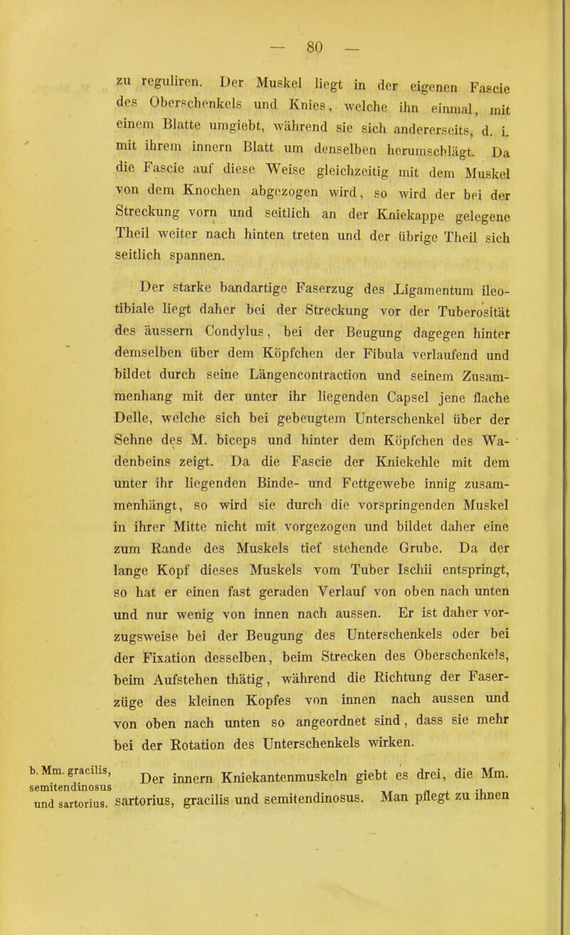 zu regulircn. Der Muskel liegt in der eigenen Fascie des OberPchonkcls und Knies, welche ihn einmal, mit einem Blatte umgiebt, während sie sich andererseits, d. i. mit ihrem Innern Blatt um denselben herumschlägt. Da die Fascie auf diese Weise gleichzeitig mit dem Muskel von dem Knochen abgezogen wird, so wird der bei der Streckung vorn und seitlich an der Kniekappe gelegene Theil weiter nach hinten treten und der übrige Theil sich seitlich spannen. Der starke bandartige Faserzug des Ligamentum ileo- tibiale liegt daher bei der Streckung vor der Tuberosität des äussern Condylus, bei der Beugung dagegen hinter demselben über dem Köpfchen der Fibula verlaufend und bildet durch seine Längencontraction und seinem Zusam- menhang mit der unter ihr liegenden Capsel jene flache Delle, welche sich bei gebeugtem Unterschenkel über der Sehne des M. biceps und hinter dem Köpfchen des Wa- denbeins zeigt. Da die Fascie der Kniekehle mit dem unter ihr liegenden Binde- und Fettgewebe innig zusam- menhängt, so wird sie durch die vorspringenden Muskel in ihrer Mitte nicht mit vorgezogen und bildet daher eine zum Rande des Muskels tief stehende Grube. Da der lange Kopf dieses Muskels vom Tuber Ischii entspringt, so hat er einen fast geraden Verlauf von oben nach unten und nur wenig von innen nach aussen. Er ist daher vor- zugsweise bei der Beugung des Unterschenkels oder bei der Fixation desselben, beim Strecken des Oberschenkels, beim Aufstehen thätig, während die Richtung der Faser- züge des kleinen Kopfes von innen nach aussen und von oben nach unten so angeordnet sind, dass sie mehr bei der Rotation des Unterschenkels wirken. b.Mm.gracilis, Knlekantenmuskcln giebt es drei, die Mm. semitendinosus « -i, und sartorius. sartorius, gracilis und semitendinosus. Man pflegt zu ihnen