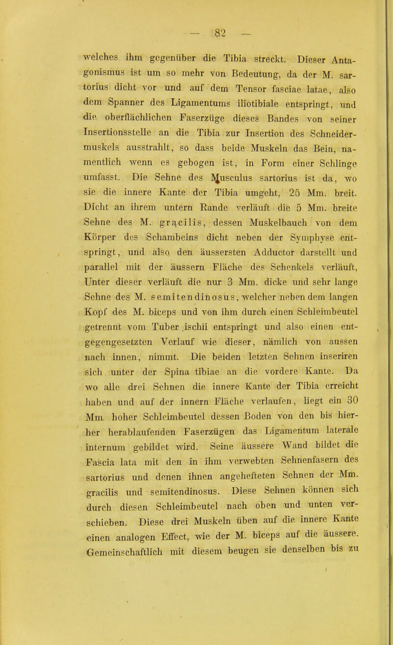 - 32 - welches ihm gegenüber die Tibia streckt. Dieser Anta- gonismus ist um so mehr von Bedeutung, da der M. sar- torius dicht vor und auf dem Tensor fasciae latae, also dem Spanner des Ligamentums iliotibiale entspringt, und die oberflächlichen Paserziige dieses Bandes von seiner Insertionsstelle an die Tibia zur Insertion des Schneider- muskels ausstrahlt, so dass beide Muskeln das Bein, na- mentlich wenn es gebogen ist, in Form einer Schlinge umfasst. Die Sehne des Jijusculus sartorius ist da, wo sie die innere Kante der Tibia umgeht, 25 Mm. breit. Dicht an ihrem untern Rande verläuft die 5 Mm. breite Sehne des M. grj^cilis, dessen Muskelbauch von dem Körper des Schambeins dicht neben der Symphyse ent- springt, und also den äussersten Adductor darstellt und parallel mit der äussern Fläche des Schenkels verläuft. Unter dieser verläuft die nur 3 Mm. dicke und sehr lange Sehne des M. semitendinosus, welcher neben dem langen Kopf des M. biceps und von ihm durch einen Schleimbeutel getrennt vom Tuber .ischii entspringt und also einen ent- gegengesetzten Verlauf wie dieser, nämlich von aussen nach innen, nimmt. Die beiden letzten Sehnen inseriren sich unter der Spina tihiae an die vordere Kante. Da wo alle drei Sehnen die innere Kante der Tibia erreicht haben und auf der Innern Fläche verlaufen, liegt ein 30 Mm. hoher Schleimbeutel dessen Boden von den bis hier- her herablaufenden Faserzügen das Ligamentum laterale internum gebildet wird. Seine äussere Wand bildet die Fascia lata mit den in ihm verwebten Sehnenfasern des sartorius und denen ihnen angehefteten Sehnen der Mm. gracilis und semitendinosus. Diese Sehnen können sich durch diesen Schleimbeutel nach oben und unten ver- schieben. Diese drei Muskeln üben auf die innere Kante einen analogen Effect, wie der M. biceps auf die äussere. Gemeinschaftlich mit diesem beugen sie denselben bis zu r