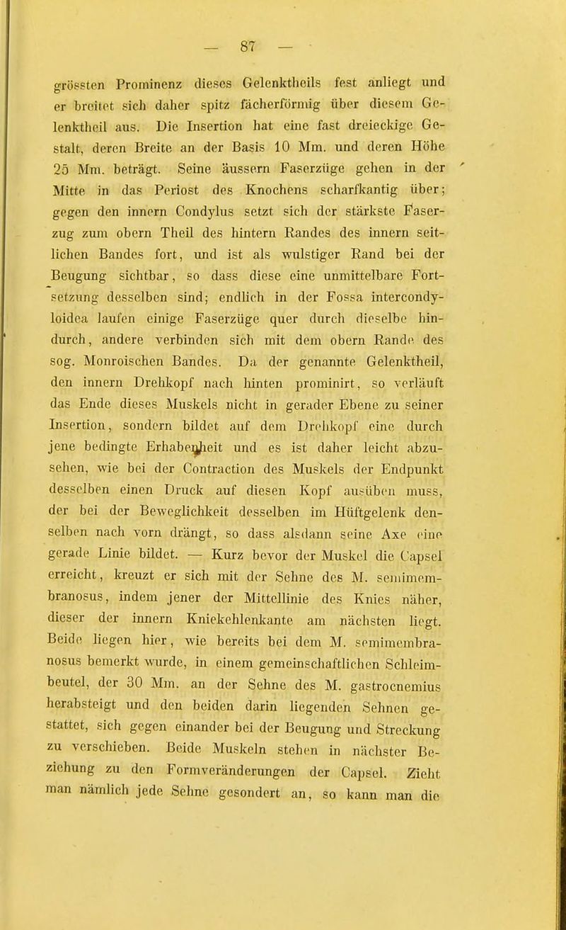 grössten Prominenz dieses Gelenkthcils fest anliegt und er breitet sich daher spitz fächerförmig über diesem Ge- lenktheil aus. Die Insertion hat eine fast dreieckige Ge- stalt, deren Breite an der Basis 10 Mm. und deren Höhe 25 Mm. beträgt. Seine äussern Faserziige gehen in der ' Mitte in das Periost des Knochens scharfkantig über; gegen den innern Condylus setzt sich der stärkste Faser- zug zum obern Theil des hintern Randes des innern seit- lichen Bandes fort, und ist als wulstiger Rand bei der Beugung sichtbar, so dass diese eine unmittelbare Fort- setzung desselben sind; endlich in der Fossa intercondy- loidca laufen einige Faserzüge quer durch dieselbe hin- durch, andere verbinden sich mit dem obern Randi^ des sog. Monroischen Bandes. Da der genannte Gelenktheil, den innern Drelikopf nach hinten prominirt, so verläuft das Ende dieses Muskels nicht in gerader Ebene zu seiner Insertion, sondern bildet auf dem Drelikopf eine durch jene bedingte Erhabe:^eit und es ist daher leicht abzu- sehen, wie bei der Contraction des Muskels der Endpunkt desselben einen Druck auf diesen Kopf ausüben muss, der bei der Beweglichkeit desselben im Hüftgelenk den- selben nach vorn drängt, so dass alsdann seine Axe eine gerade Linie bildet. — Kurz bevor der Muskel die Capsel erreicht, kreuzt er sich mit der Sehne des M. scniimem- branosus, indem jener der Mittellinie des Knies näher, dieser der innern Kniekehlenkante am nächsten liegt. Beide liegen hier, wie bereits bei dem M. semimembra- nosus bemerkt wurde, in einem gemeinschaftlichen Schleim- beutel, der 30 Mm. an der Sehne des M. gastrocnemius herabsteigt und den beiden darin liegenden Sehnen ge- stattet, sich gegen einander bei der Beugung und Streckung zu verschieben. Beide Muskeln stehen in nächster Be- ziehung zu den Formveränderungen der Capsel. Zieht man nämlich jede Sehne gesondert an, so kann man die