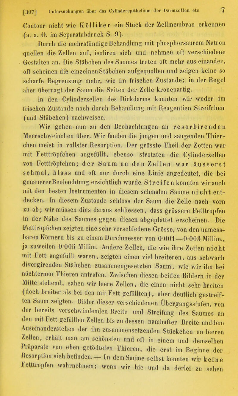 Contour nicht wie Kölliker ein Stück der Zellmembran erkennen (a. a. 0. im Separatabdruck S. 9). Durch die mehrstündige Behandlung mit phosphorsaurem Natron quellen die Zellen auf, isoliren sich und nehmen oft verschiedene Gestalten an. Die Stäbchen des Saumes treten oft mehr aus einander, oft scheinen die einzelnen Stäbchen aufgequollen und zeigen keine so scharfe Begrenzung mehr, wie im frischen Zustande; in der Regel aber überragt der Saum die Seiten der Zelle kronenartig. ln den Cylinderzellen des Dickdarms konnten wir weder im frischen Zustande noch durch Behandlung mit Reagentien Streifchen (und Stäbchen) nachweisen. Wir gehen nun zu den Beobachtungen an resorbirenden Meerschweinchen über. Wir fanden die jungen und saugenden Thier- chen meist in vollster Resorption. Der grösste Theil der Zotten war mit Fetttröpfchen angefüllt, ebenso strotzten die Cylinderzellen von Fetttröpfchen; der Saum an den Zellen war äusserst schmal, blass und oft nur durch eine Linie angedeutet, die bei genauererBeobachtung ersichtlich wurde. Streifen konnten wirauch mit den besten Instrumenten in diesem schmalen Saume nicht ent- decken. In diesem Zustande schloss der Saum die Zelle nach vorn zu ab; wir müssen dies daraus schlossen, dass grössere Fetttropfen in der Nähe des Saumes gegen diesen abgeplattet erscheinen. Die Fetttröpfchen zeigten eine sehr verschiedene Grösse, von den unmess- baren Körnern bis zu einem Durchmesser von 0-001—0-003 Millim., ja zuweilen 0-005 Millim. Andere Zellen, die wie ihre Zotten nicht mit Fett angefüllt waren, zeigten einen viel breiteren, aus schwach divergirenden Stäbchen zusammengesetzten Saum, wie wir ihn bei nüchternen Thieren antrafen. Zwischen diesen beiden Bildern in der Mitte stehend, sahen wir leere Zellen, die einen nicht sehr breiten (doch breiter als bei den mit Fett gefüllten), aber deutlich gestreif- ten Saum zeigten. Bilder dieser verschiedenen Übergangsstufen, von der bereits verschwindenden Breite und Streifung des Saumes an den mit Fett gefüllten Zellen bis zu dessen namhafter Breite unddem Auseinanderstehen der ihn zusammensetzenden Stückchen an leeren Zellen, erhält man am schönsten und oft in einem und demselben Präparate von eben getödteten Thieren, die erst im Beginne der Resorption sich befinden.— In dem Saume selbst konnten wir keine Fetttropfen wahrnehmen; wenn wir hie und da derlei zu sehen