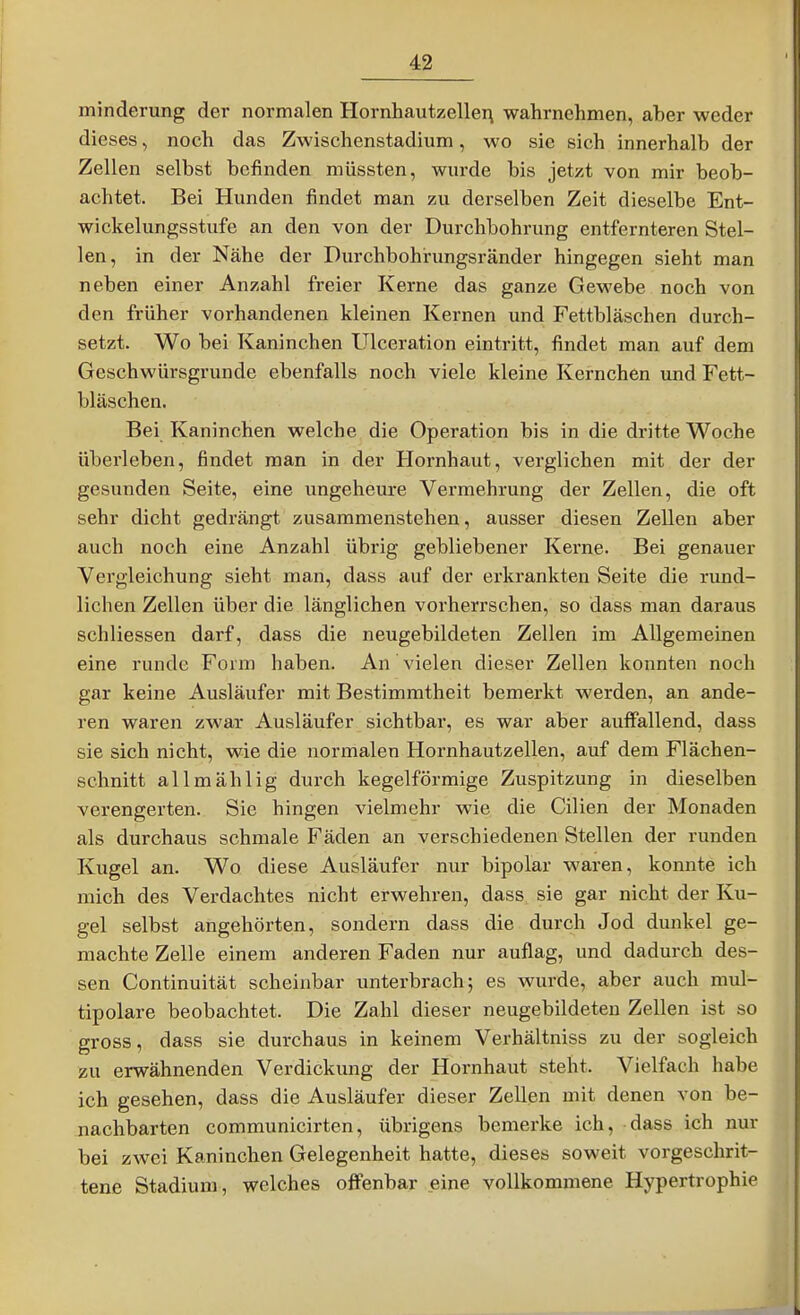 minderung der normalen Hornhautzellei\ wahrnehmen, aher weder dieses, noch das Zwischenstadium, wo sie sich innerhalb der Zellen selbst befinden müssten, wurde bis jetzt von mir beob- achtet. Bei Hunden findet man zu derselben Zeit dieselbe Ent- wickelungsstufe an den von der Durchbohrung entfernteren Stel- len, in der Nähe der Durchbohi-ungsränder hingegen sieht man neben einer Anzahl freier Kerne das ganze Gewebe noch von den früher vorhandenen kleinen Kernen und Fettbläschen durch- setzt. Wo bei Kaninchen Ulceration eintritt, findet man auf dem Geschwürsgrunde ebenfalls noch viele kleine Kernchen und Fett- bläschen. Bei Kaninchen welche die Operation bis in die dritte Woche überleben, findet man in der Hornhaut, verglichen mit der der gesunden Seite, eine ungeheure Vermehrung der Zellen, die oft sehr dicht gedrängt zusammenstehen, ausser diesen Zellen aber auch noch eine Anzahl übrig gebliebener Kerne. Bei genauer Vergleichung sieht man, dass auf der erkrankten Seite die rund- lichen Zellen über die länglichen vorherrschen, so dass man daraus schliessen darf, dass die neugebildeten Zellen im Allgemeinen eine runde Form haben. An vielen dieser Zellen konnten noch gar keine Ausläufer mit Bestimmtheit bemerkt werden, an ande- ren waren zwar Ausläufer sichtbar, es war aber auifallend, dass sie sich nicht, wie die normalen Hornhautzellen, auf dem Flächen- schnitt allmählig durch kegelförmige Zuspitzung in dieselben verengerten. Sie hingen vielmehr wie die Cilien der Monaden als durchaus schmale Fäden an verschiedenen Stellen der runden Kugel an. Wo diese Ausläufer nur bipolar waren, konnte ich mich des Verdachtes nicht erwehren, dass, sie gar nicht der Ku- gel selbst angehörten, sondern dass die durch Jod dunkel ge- machte Zelle einem anderen Faden nur auflag, und dadurch des- sen Continuität scheinbar unterbrach; es wurde, aber auch mul- tipolare beobachtet. Die Zahl dieser neugebildeteu Zellen ist so gross, dass sie durchaus in keinem Verhältniss zu der sogleich zu erwähnenden Verdickung der Hornhaut steht. Vielfach habe ich gesehen, dass die Ausläufer dieser Zellen mit denen von be- nachbarten communicirten, übrigens bemerke ich, dass ich nur bei zwei Kaninchen Gelegenheit hatte, dieses soweit vorgeschrit- tene Stadium, welches offenbar eine vollkommene Hypertrophie