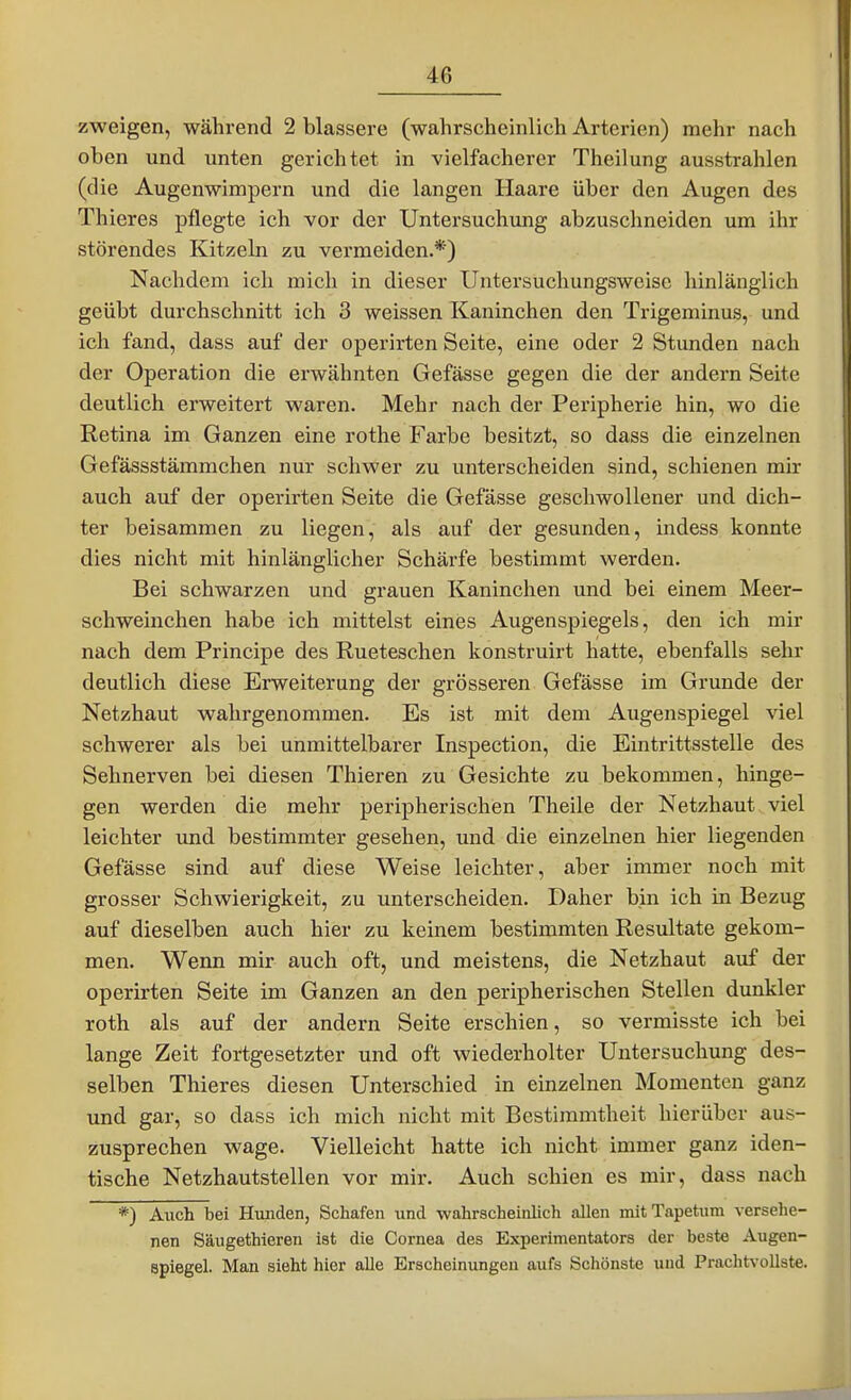 zweigen, während 2 blassere (wahrscheinlich Arterien) mehr nach oben und unten gerichtet in vielfacherer Theilung ausstrahlen (die Augenwimpern und die langen Haare über den Augen des Thieres pflegte ich vor der Untersuchung abzuschneiden um ihr störendes Kitzeln zu vermeiden.*) Nachdem ich mich in dieser Untersuchungsweise hinlänglich geübt durchschnitt ich 3 weissen Kaninchen den Trigeminus, und ich fand, dass auf der operirten Seite, eine oder 2 Stunden nach der Operation die erwähnten Gefässe gegen die der andern Seite deutlich erweitert waren. Mehr nach der Peripherie hin, wo die Retina im Ganzen eine rothe Farbe besitzt, so dass die einzelnen Gefässstämmchen nur schwer zu unterscheiden sind, schienen mir auch auf der operirten Seite die Gefässe geschwollener und dich- ter beisammen zu liegen, als auf der gesunden, indess konnte dies nicht mit hinlänglicher Schärfe bestimmt werden. Bei schwarzen und grauen Kaninchen und bei einem Meer- schweinchen habe ich mittelst eines Augenspiegels, den ich mir nach dem Principe des Rueteschen konstruirt hatte, ebenfalls sehr deutlich diese Erweiterung der grösseren Gefässe im Grunde der Netzhaut wahrgenommen. Es ist mit dem Augenspiegel viel schwerer als bei unmittelbarer Inspection, die Eintrittsstelle des Sehnerven bei diesen Thieren zu Gesichte zu bekommen, hinge- gen werden die mehr peripherischen Theile der Netzhaut viel leichter und bestimmter gesehen, und die einzelnen hier liegenden Gefässe sind auf diese Weise leichter, aber immer noch mit grosser Schwierigkeit, zu unterscheiden. Daher bin ich in Bezug auf dieselben auch hier zu keinem bestimmten Resultate gekom- men. Wenn mir auch oft, und meistens, die Netzhaut auf der operirten Seite im Ganzen an den peripherischen Stellen dunkler roth als auf der andern Seite erschien, so vermisste ich bei lange Zeit fortgesetzter und oft wiederholter Untersuchung des- selben Thieres diesen Unterschied in einzelnen Momenten ganz und gar, so dass ich mich nicht mit Bestimmtheit hierüber aus- zusprechen wage. Vielleicht hatte ich nicht immer ganz iden- tische Netzhautstellen vor mir. Auch schien es mir, dass nach *) Auch bei Hunden, Schafen und wahrscheinlich allen mitTapetum verselie- nen Säugethieren ist die Cornea des Experimentators der beste Augen- spiegel. Man sieht hier alle Erscheinungen aufs Schönste und Prachtvollste.
