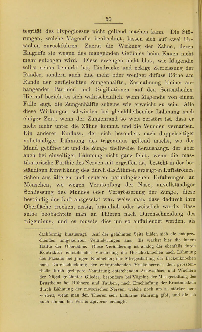 tegrität des Hypoglossus nicht geltend machen kann. Die Stö- rungen, welche Magendie beobachtet, lassen sich auf zwei Ur- sachen zurückführen. Zuerst die Wirkung der Zähne, deren Eingriffe sie wegen des mangelnden Gefühles beim Kauen nicht mehr entzogen wird. Diese erzeugen nicht blos, wie Magendie selbst schon bemerkt hat, Eindrücke und eckige Zerreissung der Ränder, sondern auch eine mehr oder weniger diffuse Rothe am Rande der zerfleischten Zungenhälfte, Zermalmung kleiner an- hangender Parthien und Sugillationen auf den Seitentheilen. Hierauf bezieht es sich wahrscheinlich, wenn Magendie von einem Falle sagt, die Zungenhälfte scheine wie erweicht zu sein. AUe diese Wirkungen schwinden bei gleichbleibender Lähmung nach einiger Zeit, wenn der Zungenrand so weit zerstört ist, dass er nicht mehr unter die Zähne kommt^ und die Wunden vernarben. Ein anderer Einfluss, der sich besonders nach doppelseitiger vollständiger Lähmung des trigeminus geltend macht, wo der Mund geöffnet ist und die Zunge theilweise heraushängt, der aber auch bei einseitiger Lähmung nicht ganz fehlt, wenn die mas- tikatorische Parthie des Nerven mit ergriffen ist, besteht in der be- ständigen Einwirkung des durch dasAthmen erzeugten Luftstromes. Schon aus älteren und neueren pathologischen Erfahrungen an Menschen, wo wegen Verstopfung der Nase, unvollständiger Schliessung des Mundes oder Vergrösserung der Zunge, diese beständig der Luft ausgesetzt war, weiss man, dass dadurch ihre Oberfläche trocken, rissig, bräunlich oder weisslich wurde. Das- selbe beobachtete man an Thieren nach Durchschneidung des trigeminus, und es musste dies um so auffallender werden, als dachförmig hinausragt. Auf der gelähmten Seite bilden sich die entspre- chenden umgekehrten Veränderungen aus. Es wächst hier die innere Hälfte der Oberzähne. Diese Veränderung ist analog der ebenfalls durch Kontraktur entstehenden Verzerrung der Gesichtsknochen nach Lähmiuig des Facialis bei jungen Kaninchen; der Missgestaltung der Beckenknochen nach Durchschneidung der entsprechenden Muskelnerven; dem grössten- theils durch geringere Abnutzung entstehenden Auswachsen imd Wuchern der Nägel gelähmter GUeder, besonders bei Vögeln; der Missgestaltung des Brustbeins bei Hühnern und Tauben, nach Erschlaffung der Brustmuskeln durch Lähmung der motorischen Nerven, welche noch um so stärker her- vortritt, wenn man den Thieren sehr kalkarme Nahrung gibt, und die ich auch einmal bei Pernis apivorus erzeugte.