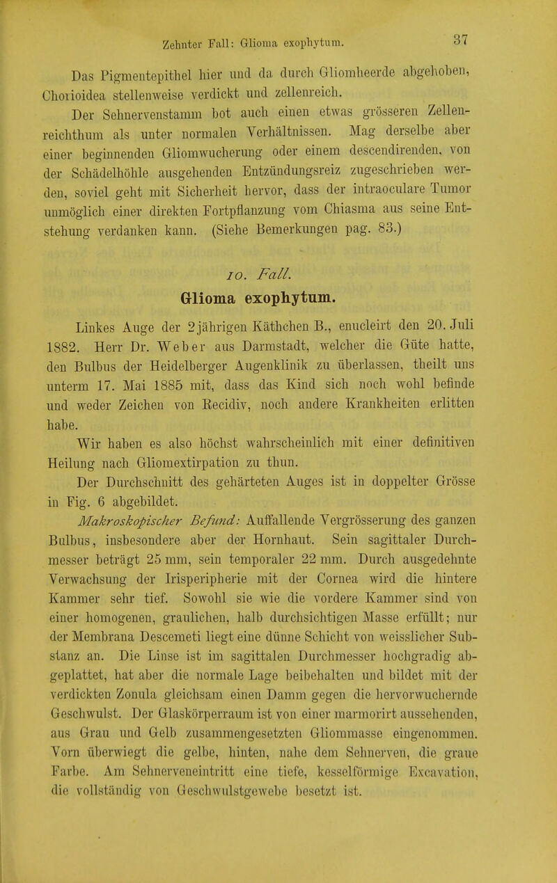 Das Pigmentepithel hier und da durch Gliomheerde abgelAoben, Choiioidea stellenweise verdickt und zellenreich. Der Sehnervenstamm bot auch einen etwas grösseren Zellen- reichthum als unter normalen Verhältnissen. Mag derselbe aber einer beginnenden Gliomwucherung oder einem descendirenden, von der Schädelhöhle ausgehenden Entzündungsreiz zugeschrieben wer- den, soviel geht mit Sicherheit hervor, dass der intraoculare Tumor unmöglich einer direkten Fortpflanzung vom Chiasma aus seine Ent- stehung verdanken kann. (Siehe Bemerkungen pag. 83.) 10. Fall. Grlioma exophytum. Linkes Auge der 2 jährigen Käthchen B., enucleirt den 20. Juli 1882. Herr Dr. Weber aus Darmstadt, welcher die Güte hatte, den Bulbus der Heidelberger Augenklinik zu überlassen, theilt uns unterm 17. Mai 1885 mit, dass das Kind sich noch wohl befinde und weder Zeichen von Eecidiv, noch andere Krankheiten erlitten habe. Wir haben es also höchst wahrscheinlich mit einer definitiven Heilung nach Gliomextirpation zu thun. Der Durchschnitt des gehärteten Auges ist in doppelter Grösse in Fig. 6 abgebildet. Makroskopischer Befiind: Aulfallende Vergrösserung des ganzen Bulbus, insbesondere aber der Hornhaut. Sein sagittaler Durch- messer beträgt 25 mm, sein temporaler 22 mm. Durch ausgedehnte Verwachsung der Irisperipherie mit der Cornea wird die hintere Kammer sehr tief. Sowohl sie wie die vordere Kammer sind von einer homogenen, graulichen, halb durchsichtigen Masse erfüllt; nur der Membrana Descemeti liegt eine dünne Schicht von weisslicher Sub- stanz an. Die Linse ist im sagittalen Durchmesser hochgradig ab- geplattet, hat aber die normale Lage beibehalten und bildet mit der verdickten Zonula gleichsam einen Damm gegen die hervorwuchernde Geschwulst. Der Glaskörperraum ist von einer marmorirt aussehenden, aus Grau und Gelb zusammengesetzten Gliommasse eingenommen. Vorn überwiegt die gelbe, hinten, nahe dem Sehnei'ven, die graue Farbe. Am Sehnerveneintritt eine tiefe, kesseiförmige Excavation, die vollständig von Geschvvulstgewebe besetzt ist.