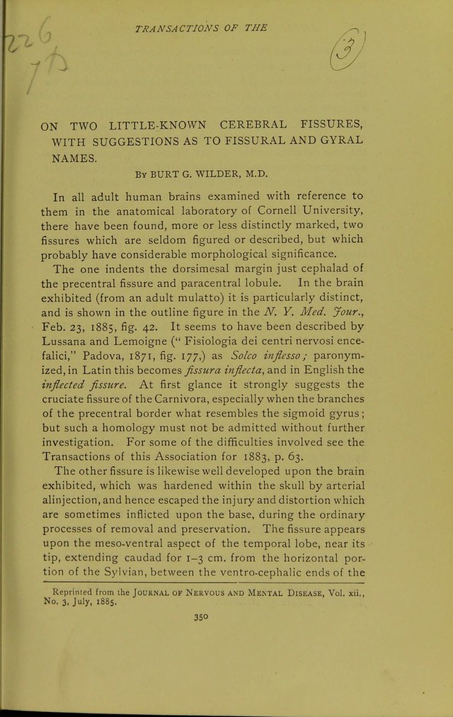 digitised image 1
