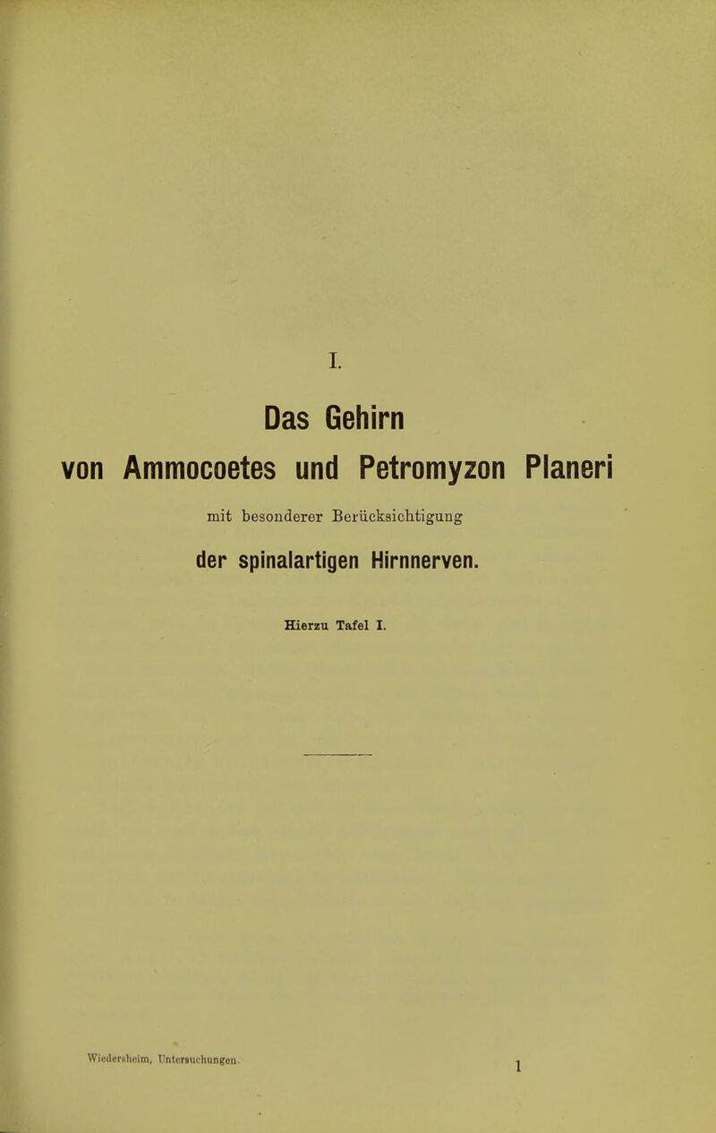 Das Gehirn von Ammocoetes und Petromyzon Pianeri mit besonderer Berücksichtigung der spinalartigen Hirnnerven. Hierzu Tafel I. WIedershcim, Untersuchungen.