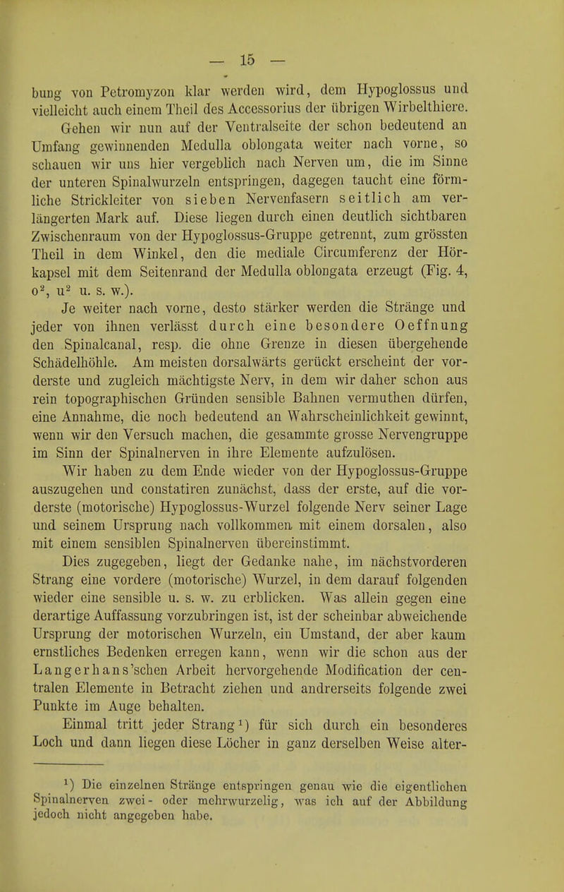 buDg von Petromyzou klar werden wird, dem Hypoglossus und vielleicht auch einem Theil des Accessorius der übrigen Wirbelthiere. Gehen wir nun auf der Ventralseite der schon bedeutend an Umfang gewinnenden Medulla oblongata weiter nach vorne, so schauen wir uns hier vergeblich nach Nerven um, die im Sinne der unteren Spinalwurzeln entspringen, dagegen taucht eine förm- liche Strickleiter von sieben Nervenfasern seitlich am ver- längerten Mark auf. Diese liegen durch einen deutlich sichtbaren Zwischenraum von der Hypoglossus-Gruppe getrennt, zum grössten Theil in dem Winkel, den die mediale Circumferenz der Hör- kapsel mit dem Seitenrand der Medulla oblongata erzeugt (Fig. 4, 0^, u^ u. s. w.). Je weiter nach vorne, desto stärker werden die Stränge und jeder von ihnen verlässt durch eine besondere Oeffnung den Spinalcanal, resp. die ohne Grenze in diesen übergehende Schädelhöhle. Am meisten dorsalwärts gerückt erscheint der vor- derste und zugleich mächtigste Nerv, in dem wir daher schon aus rein topographischen Gründen sensible Bahnen vermuthen dürfen, eine Annahme, die noch bedeutend an Wahrscheinlichkeit gewinnt, wenn wir den Versuch machen, die gesammte grosse Nervengruppe im Sinn der Spinalnerven in ihre Elemente aufzulösen. Wir haben zu dem Ende wieder von der Hypoglossus-Gruppe auszugehen und constatiren zunächst, dass der erste, auf die vor- derste (motorische) Hypoglossus-Wurzel folgende Nerv seiner Lage und seinem Ursprung nach vollkommen, mit einem dorsalen, also mit einem sensiblen Spinalnerven übereinstimmt. Dies zugegeben, liegt der Gedanke nahe, im nächstvorderen Strang eine vordere (motorische) Wurzel, in dem darauf folgenden wieder eine sensible u. s. w. zu erblicken. Was allein gegen eine derartige Auffassung vorzubringen ist, ist der scheinbar abweichende Ursprung der motorischen Wurzeln, ein Umstand, der aber kaum ernstliches Bedenken erregen kann, wenn wir die schon aus der Langerhans'schen Arbeit hervorgehende Modification der cen- tralen Elemente in Betracht ziehen und andrerseits folgende zwei Punkte im Auge behalten. Einmal tritt jeder Strang^) für sich durch ein besonderes Loch und dann liegen diese Löcher in ganz derselben Weise alter- ^) Die einzelnen Stränge entspringen genau wie die eigentlichen Spinalnerven zwei- oder mehrwurzelig, was ich auf der Abbildung jedoch nicht angegeben habe.