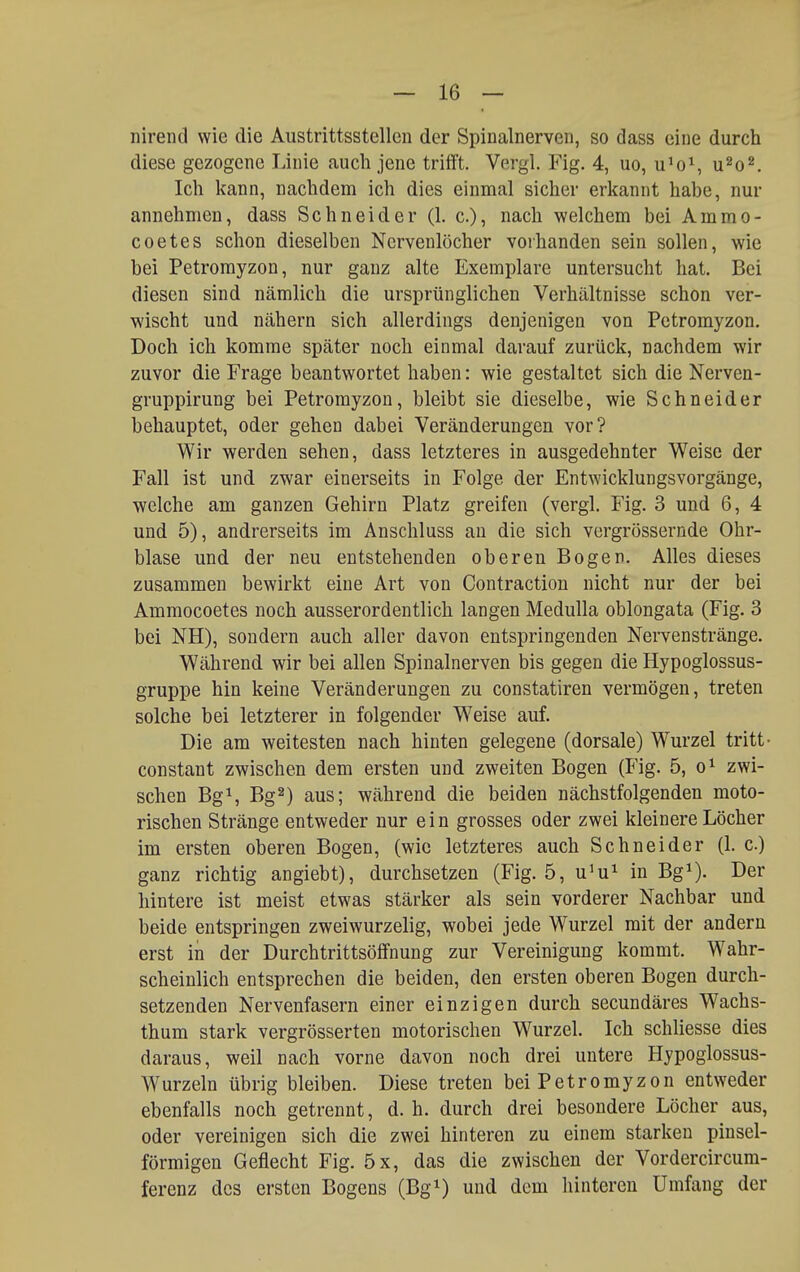 nirend wie die Austrittsstellen der Spinalnerven, so dass eine durch diese gezogene Linie auch jene trifft. Vergl. Fig. 4, uo, u'o^, u^o^. Ich kann, nachdem ich dies einmal sicher erkannt habe, nur annehmen, dass Schneider (1. c), nach welchem bei Ammo- coetes schon dieselben Nervenlöcher vorhanden sein sollen, wie bei Petrorayzon, nur ganz alte Exemplare untersucht hat. Bei diesen sind nämlich die ursprünglichen Verhältnisse schon ver- wischt und nähern sich allerdings denjenigen von Petromyzon. Doch ich komme später noch einmal darauf zurück, nachdem wir zuvor die Frage beantwortet haben: wie gestaltet sich die Nerven- gruppirung bei Petromyzon, bleibt sie dieselbe, wie Schneider behauptet, oder gehen dabei Veränderungen vor? Wir werden sehen, dass letzteres in ausgedehnter Weise der Fall ist und zwar einerseits in Folge der Entwicklungsvorgänge, •welche am ganzen Gehirn Platz greifen (vergl. Fig. 3 und 6, 4 und 5), andrerseits im Anschluss au die sich vergrössernde Ohr- blase und der neu entstehenden oberen Bogen. Alles dieses zusammen bewirkt eine Art von Contraction nicht nur der bei Ammocoetes noch ausserordentlich langen Medulla oblongata (Fig. 3 bei NH), sondern auch aller davon entspringenden Nei'venstränge. Während wir bei allen Spinalnerven bis gegen die Hypoglossus- gruppe hin keine Veränderungen zu constatiren vermögen, treten solche bei letzterer in folgender W'^eise auf. Die am weitesten nach hinten gelegene (dorsale) Wurzel tritt- constant zwischen dem ersten und zweiten Bogen (Fig. 5, o^ zwi- schen BgS Bg2) aus; während die beiden nächstfolgenden moto- rischen Stränge entweder nur ein grosses oder zwei kleinere Löcher im ersten oberen Bogen, (wie letzteres auch Schneider (1. c.) ganz richtig angiebt), durchsetzen (Fig. 5, u^u^ in Bg^). Der hintere ist meist etwas stärker als sein vorderer Nachbar und beide entspringen zweiwurzelig, wobei jede Wurzel mit der andern erst in der Durchtrittsöffnung zur Vereinigung kommt. Wahr- scheinlich entsprechen die beiden, den ersten oberen Bogen durch- setzenden Nervenfasern einer einzigen durch secundäres Wachs- thum stark vergrösserten motorischen Wurzel. Ich schliesse dies daraus, weil nach vorne davon noch drei untere Hypoglossus- Wurzeln übrig bleiben. Diese treten bei Petromyzon entweder ebenfalls noch getrennt, d.h. durch drei besondere Löcher aus, oder vereinigen sich die zwei hinteren zu einem starken pinsel- förmigen Geflecht Fig. 5x, das die zwischen der Vordercircum- ferenz des ersten Bogens (Bg^) und dem hinteren Umfang der