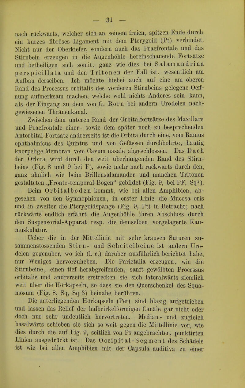 nach rückwärts, welcher sich au seinem freien, spitzen Ende durch ein kurzes fibröses Ligament mit dem Pterygoid (Pt) verbindet. Nicht nur der Oberkiefer, sondern aucli das Praefrontale und das Stirnbein erzeugen in die Augenhöhle hereinschauende Fortsätze und betheiligen sich somit, ganz wie dies bei Salamandrina perspicillata und den Tritonen der Fall ist, wesentlich am Aufbau derselben. Ich möchte hiebei auch auf eine am oberen Kand des Processus orbitalis des vorderen Stirnbeins gelegene Oeff- nung aufmerksam machen, welche wohl nichts Anderes sein kann, als der Eingang zu dem von G. Born bei a,ndern ürodelen nach- gewiesenen Thränenkanal. Zwischen dem unteren Eand der Orbitalfortsätze des Maxillare und Praefrontale einer- sowie dem später noch zu besprechenden Antorbital-Fortsatz andrerseits ist die Orbita durch eine, vom Eamus ophthalmicus des Quintus und von Gefässen durchbohrte, häutig knorpelige Membran vom Cavum nasale abgeschlossen. Das Dach der Orbita wird durch den weit überhängenden Rand des Stirn- beins (Fig. 8 und 9 bei F), sowie mehr nach rückwärts durch den, ganz ähnlich wie beim Brillensalamander und manchen Tritonen gestalteten „Fronto-temporal-Bogen gebildet (Fig. 9, bei PF, Sq^). Beim Orbitalboden kommt, wie bei allen Amphibien, ab- gesehen von den Gymnophionen, in erster Linie die Mucosa oris und in zweiter die Pterygoidspange (Fig. 9, Pt) in Betracht; nach rückwärts endlich erfährt die Augenhöhle ihren Abschluss durch den Suspensorial-Apparat resp. die demselben vorgelagerte Kau- muskulatur. Ueber die in der Mittellinie mit sehr krausen Suturen zu- sammenstossenden Stirn- und Scheitelbeine ist andern üro- delen gegenüber, wo ich (1. c.) darüber ausführlich berichtet habe, nur Weniges hervorzuheben. Die Parietalia erzeugen, wie die Stirnbeine, einen tief herabgreifenden, sanft gewölbten Processus orbitalis und andrerseits erstrecken sie sich lateralwärts ziemlich weit über die Hörkapseln, so dass sie den Querschenkel des Squa- mosum (Fig. 8, Sq, Sq 3) beinahe berühren. Die unterliegenden Hörkapseln (Pet) sind blasig aufgetrieben und lassen das Relief der halbcirkelförmigen Canäle gar nicht oder doch nur sehr undeutlich hervortreten. Median- und zugleich basalwärts schieben sie sich so weit gegen die Mittellinie vor, wie dies durch die auf Fig. 9, seitlich von Ps angebrachten, punktirten Linien ausgedrückt ist. Das Occipital-Segment des Schädels ist wie bei allen Amphibien mit der Capsula auditiva zu einer