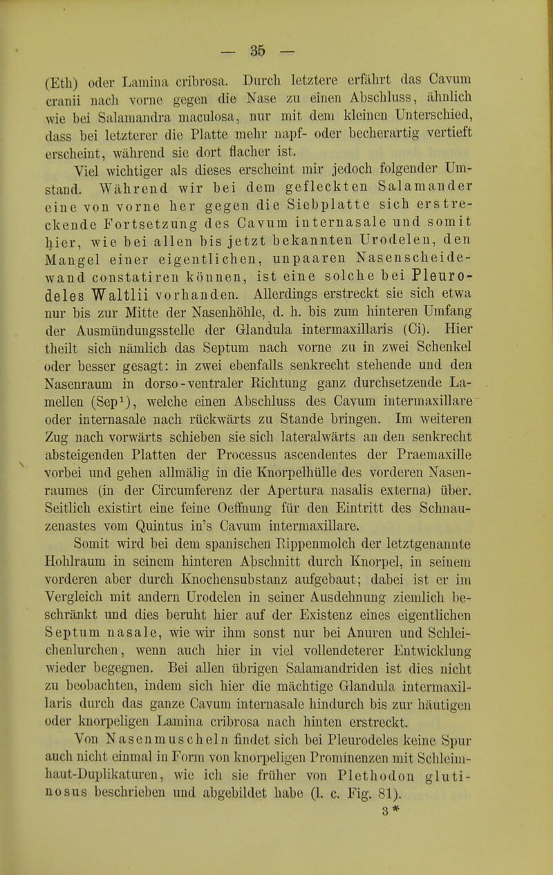 (Etil) oder Lamina cribrosa. Durch letztere erfährt das Caviim craiiii nach vorne gegen die Nase zu einen Abschluss, ähnlich wie bei Salaniandra maculosa, nur mit dem kleinen Unterschied, dass bei letzterer die Platte mehr napf- oder becherartig vertieft erscheint, während sie dort flacher ist. Viel wichtiger als dieses erscheint mir jedoch folgender Um- stand. Während wir bei dem gefleckten Salamander eine von vorne her gegen die Siebplatte sich erstre- ckende Fortsetzung des Cavum iuternasale und somit hier, wie bei allen bis jetzt bekannten Urodelen, den Mangel einer eigentlichen, unpaaren Nasenscheide- wand constatiren können, ist eine solche bei Pleuro- deles Waltlii vorhanden. Allerdings erstreckt sie sich etwa nur bis zur Mitte der Nasenhöhle, d. h. bis zum hinteren Umfang der Ausmündungsstelle der Glandula intermaxillaris (Ci). Hier theilt sich nämlich das Septum nach vorne zu in zwei Schenkel oder besser gesagt: in zwei ebenfalls senkrecht stehende und den Nasenraum in dorso - ventraler Richtung ganz durchsetzende La- mellen (Sep^), welche einen Abschluss des Cavum intermaxillare oder internasale nach rückwärts zu Stande bringen. Im weiteren Zug nach vorwärts schieben sie sich lateralwärts an den senkrecht absteigenden Platten der Processus ascendentes der Praemaxille vorbei und gehen allmälig in die Knorpelhülle des vorderen Nasen- raumes (in der Circumferenz der Apertura uasalis externa) über. Seitlich existirt eine feine Oeflhung für den Eintritt des Schnau- zenastes vom Quintus in's Cavum intermaxillare. Somit wird bei dem spanischen Rippenmolch der letztgenannte Hohlraum in seinem hinteren A|)schuitt durch Knorpel, in seinem vorderen aber durch Knochensubstanz aufgebaut; dabei ist er im Vergleich mit andern Urodelen in seiner Ausdehnung ziemlich be- schränkt und dies beruht hier auf der Existenz eines eigentlichen Septum nasale, wie wir ihm sonst nur bei Anuren und Schlei- chenlurchen, wenn auch hier in viel vollendeterer Entwicklung wieder begegnen. Bei allen übrigen Salamandriden ist dies nicht zu beobachten, indem sich hier die mächtige Glandula intermaxil- laris durch das ganze Cavum internasale hindurch bis zur häutigen oder knorpeligen Lamina cribrosa nach hinten erstreckt. Von Nasenmuscheln findet sich bei Pleurodeles keine Spur auch nicht einmal in Form von knorpeligen Prominenzen mit Schleim- haut-Duplikaturen, wie ich sie früher von Plethodon gluti- nosus beschrieben und abgebildet habe (1. c. Fig. 81). 3*