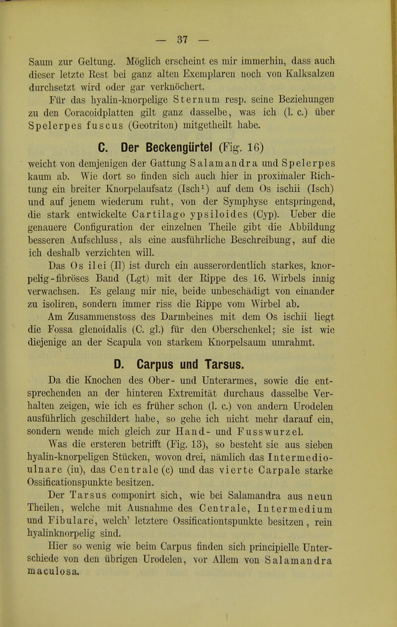 Saum zur Geltung. Möglicli erscheint es mir immerhin, dass auch dieser letzte Rest bei ganz alten Exemplaren noch von Kalksalzen durchsetzt wird oder gar verknöchert. Für das hyaliu-knorpelige Sternum resp. seine Beziehungen zu den Coracoidplatten gilt ganz dasselbe, was ich (1. c.) über Speierpes fuscus (Geotriton) mitgetheilt habe. C. Der Beckengürtel (Fig. 16) weicht von demjenigen der Gattung Salamandra und Speie rpes kaum ab. Wie dort so finden sich auch hier in proximaler Rich- tung ein breiter Knorpelaufsatz (Isch^) auf dem Os ischii (Isch) und auf jenem wiederum ruht, von der Symphyse entspringend, die stark entwickelte Cartilago ypsiloides (Cyp). Ueber die genauere Configuration der einzelnen Theile gibt die Abbildung besseren Aufschluss, als eine ausführliche Beschreibung, auf die ich deshalb verzichten will. Das Os ilei (II) ist durch ein ausserordentlich starkes, knor- pelig-fibröses Band (Lgt) mit der Rippe des 16. Wirbels innig verwachsen. Es gelang mir nie, beide unbeschädigt von einander zu isoliren, sondern immer riss die Rippe vom Wirbel ab. Am Zusammenstoss des Darmbeines mit dem Os ischii liegt die Fossa glenoidalis (C. gl.) für den Oberschenkel; sie ist wie diejenige an der Scapula von starkem Knorpelsaum umrahmt. D. Carpus und Tarsus. Da die Knochen des Ober- und Unterarmes, sowie die ent- sprechenden an der hinteren Extremität durchaus dasselbe Ver- halten zeigen, wie ich es früher schon (1. c.) von andern Urodelen ausführlich geschildert habe, so gehe ich nicht mehr darauf ein, sondern wende mich gleich zur Hand- und Fuss würzel. Was die ersteren betrifft (Fig. 13), so besteht sie aus sieben hyalin-knorpeligen Stücken, wovon drei, nämlich das Intermedio- ulnare (iu), das Centrale (c) und das vierte Carpale starke Ossificationspunkte besitzen. Der Tarsus componirt sich, wie bei Salamandra aus neun Theilen, welche mit Ausnahme des Centrale, Intermedium und Fibulare, welch' letztere Ossificationtspunkte besitzen, rein hyalinknorpelig sind. Hier so wenig wie beim Carpus finden sich principielle Unter- schiede von den übrigen Urodelen, vor Allem von Salamandra maculosa.