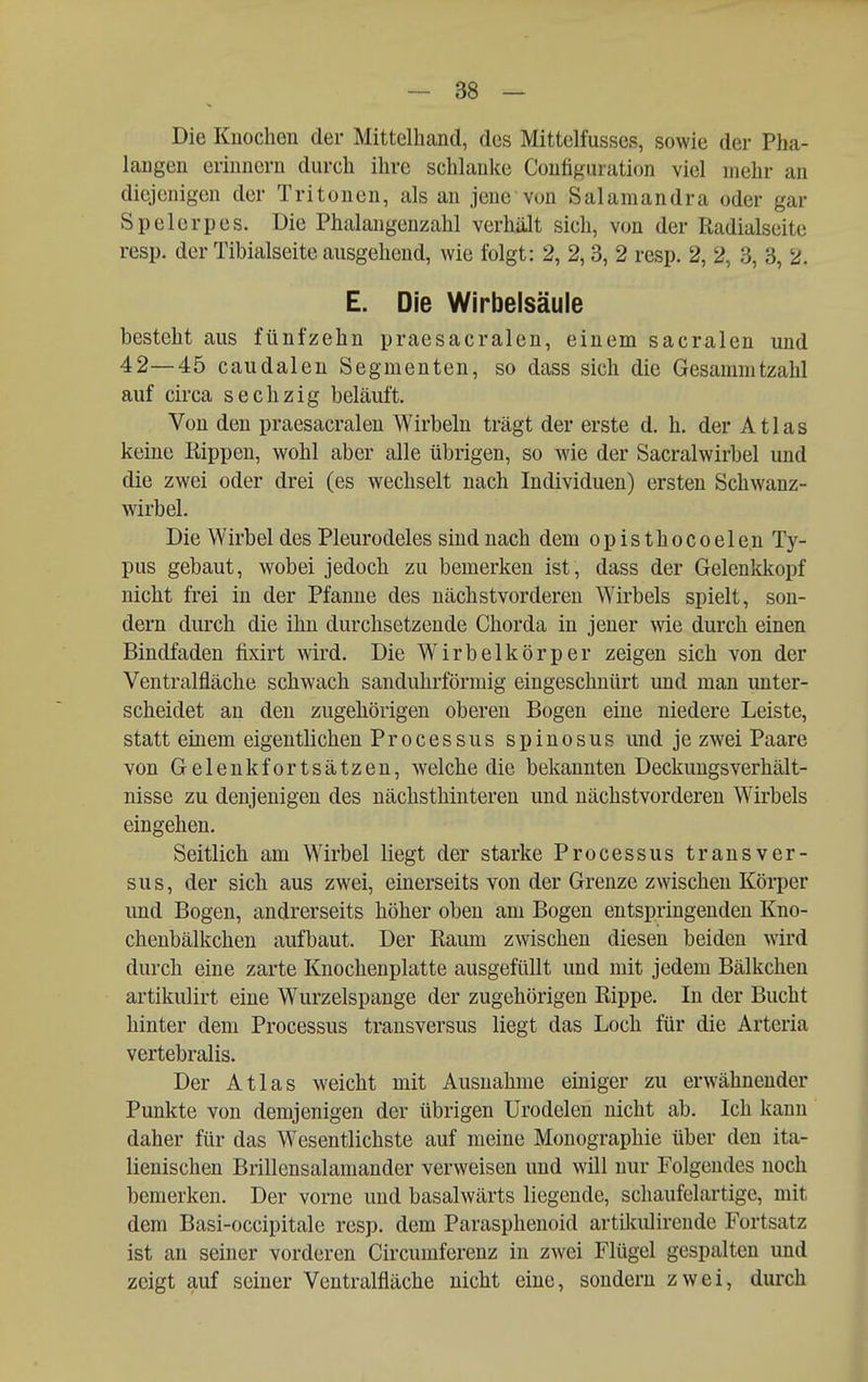 Die Knochen der Mittelhcand, des Mittelfusses, sowie der Pha- langen erinnern durch ihre schlanke Configuration viel mehr an diejenigen der Tritonen, als an jene von Salamandra oder gar Spelerpes. Die Phalangeuzahl verhält sich, von der Radialseite resp. der Tibialseite ausgehend, wie folgt: 2, 2,3, 2 resp. 2, 2, 3, 3, 2. E. Die Wirbelsäule besteht aus fünfzehn praesacralen, einem sacralen und 42—45 caudalen Segmenten, so dass sich die Gesammtzahl auf circa sechzig beläuft. Von den praesacralen Wirbeln trägt der erste d. h, der Atlas keine Rippen, wohl aber alle übrigen, so wie der Sacralwirbel und die zwei oder drei (es wechselt nach Individuen) ersten Schwanz- wirbel. Die Wirbel des Pleurodeles sind nach dem o p i s t h o c o e 1 e,n Ty- pus gebaut, wobei jedoch zu bemerken ist, dass der Gelenkkopf nicht frei in der Pfanne des nächstvorderen Wirbels spielt, son- dern durch die ihn durchsetzende Chorda in jener wie durch einen Bindfaden fixirt wird. Die Wirbelkörper zeigen sich von der Ventralfläche schwach sanduhrförmig eingeschnürt und man unter- scheidet an den zugehörigen oberen Bogen eine niedere Leiste, statt einem eigentlichen Processus spinosus und je zwei Paare von Gelenkfortsätzen, welche die bekannten Deckungsverhält- nisse zu denjenigen des nächsthinteren und nächstvorderen Wirbels eingehen. Seitlich am Wirbel liegt der starke Processus transver- sa s, der sich aus zwei, einerseits von der Grenze zwischen Körper und Bogen, andrerseits höher oben am Bogen entspringenden Kno- chenbälkchen aufbaut. Der Raum zwischen diesen beiden wird durch eine zarte Knochenplatte ausgefüllt und mit jedem Bälkchen artikulirt eine Wurzelspange der zugehörigen Rippe. In der Bucht hinter dem Processus transversus liegt das Loch für die Arteria vertebralis. Der Atlas weicht mit Ausnahme einiger zu erwähnender Punkte von demjenigen der übrigen Urodelen nicht ab. Ich kann daher für das Wesentlichste auf meine Monographie über den ita- lienischen Brillensalamander verweisen und will nur Folgendes noch bemerken. Der vorne und basalwärts liegende, schaufelartige, mit dem Basi-occipitale resp. dem Parasphenoid artikulirende Fortsatz ist an seiner vorderen Circumferenz in zwei Flügel gespalten und zeigt auf seiner Ventralfläche nicht eine, sondern zwei, durch