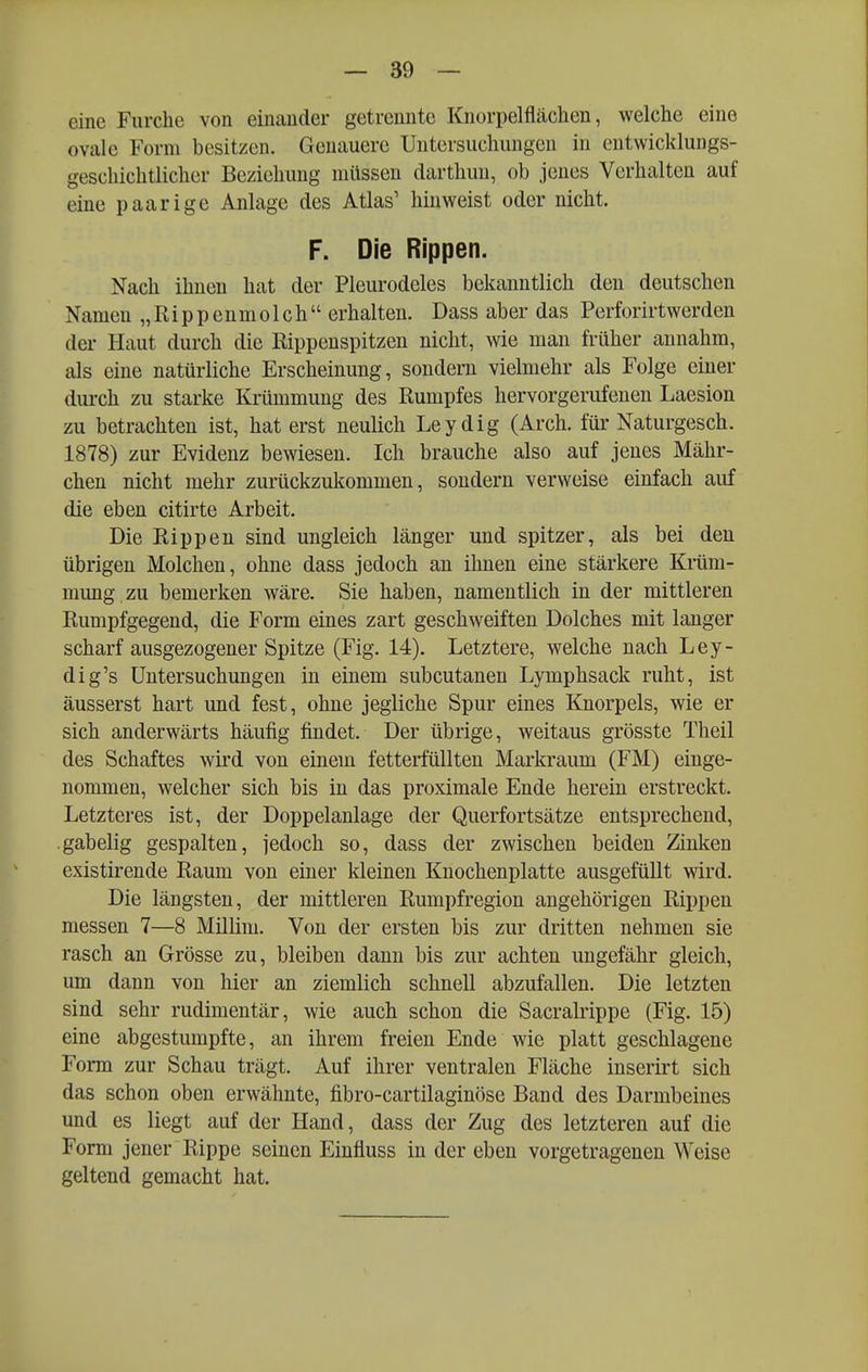 eine Furche von einander getrennte Knorpelflächen, welche eine ovale Form besitzen. Genauere Untersuchungen in entwicklungs- geschichtlicher Beziehung müssen darthun, ob jenes Verhalten auf eine paarige Anlage des Atlas' hinweist oder nicht. F. Die Rippen. Nach ihnen hat der Pleurodeles bekanntlich den deutschen Namen „Rippenmolch erhalten. Dass aber das Perforirtwerden der Haut durch die Rippeuspitzen nicht, wie man früher annahm, als eine natürliche Erscheinung, sondern vielmehr als Folge einer durch zu starke Krümmung des Rumpfes hervorgerufenen Laesion zu betrachten ist, hat erst neulich Leydig (Arch. für Naturgesch. 1878) zur Evidenz bewiesen. Ich brauche also auf jenes Mähr- chen nicht mehr zurückzukommen, sondern verweise einfach auf die eben citirte Arbeit. Die Rippen sind ungleich länger und spitzer, als bei den übrigen Molchen, ohne dass jedoch an ihnen eine stärkere Krüni- niimg zu bemerken wäre. Sie haben, namentlich in der mittleren Rumpfgegend, die Form eines zart geschweiften Dolches mit langer scharf ausgezogener Spitze (Fig. 14). Letztere, welche nach Ley- dig's Untersuchungen in einem subcutanen Lymphsack ruht, ist äusserst hart und fest, ohne jegliche Spur eines Knorpels, wie er sich anderwärts häufig findet. Der übrige, weitaus grösste Theil des Schaftes wird von einem fetterfüllten Markraum (FM) einge- nommen, welcher sich bis in das proximale Ende herein erstreckt. Letzteres ist, der Doppelanlage der Querfortsätze entsprechend, .gabelig gespalten, jedoch so, dass der zwischen beiden Zinken existirende Raum von einer kleinen Knochenplatte ausgefüllt wird. Die längsten, der mittleren Rumpfregion angehörigen Rippen messen 7—8 Millim. Von der ersten bis zur dritten nehmen sie rasch an Grösse zu, bleiben dann bis zur achten ungefähr gleich, um dann von hier an ziemlich schnell abzufallen. Die letzten sind sehr rudimentär, wie auch schon die Sacralrippe (Fig. 15) eine abgestumpfte, an ihrem freien Ende wie platt geschlagene Form zur Schau trägt. Auf ihrer ventralen Fläche inserirt sich das schon oben erwähnte, fibro-cartilaginöse Band des Darmbeines und es liegt auf der Hand, dass der Zug des letzteren auf die Form jener Rippe seinen Einfluss in der eben vorgetragenen Weise geltend gemacht hat.