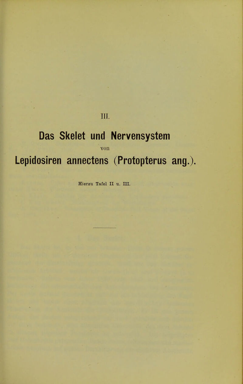 III. Das Skelet und Nervensystem von Lepidosiren annectens (Protopterus ang.). Hierzu Tafel II u. III.