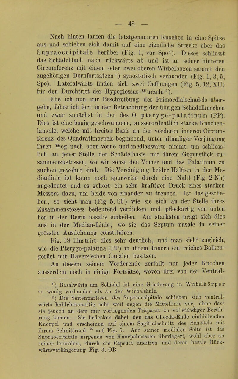 Nach hinten laufen die letztgenannten Knochen in eine Spitze aus und schieben sich damit auf eine ziemliche Strecke über das Supraoccipitale herüber (Fig. 1, vor Spo^). Dieses schliesst das Schädeldach nach rückwärts ab und ist an seiner hinteren Circumferenz mit einem oder zwei oberen Wirbelbogen sammt den zugehörigen Dornfortsätzen synostotisch verbunden (Fig. 1,3,5, Spo). Lateralwärts finden sich zwei Oeffnungen (Fig. 5, 12, XII) für den Durchtritt der Hypoglossus-Wurzeln Ehe ich nun zur Beschreibung des Primordialschädels üher- gehe, fahre ich fort in der Betrachtung der übrigen Schädelknochen und zwar zunächst in der des 0. pterygo-palatinum (PP). Dies ist eine bogig geschwungene, ausserordentlich starke Knochen- lamelle, welche mit breiter Basis an der vorderen inneren Circum- ferenz des Quadratknorpels beginnend, unter allmäliger Verjüngung ihren Weg nach oben vorne und medianwärts nimmt, um schliess- lich au jener Stelle der Schädelbasis mit ihrem Gegenstück zu- sammenzustossen, wo wir sonst den Vomer und das Palatinum zu suchen gewöhnt sind. Die Vereinigung beider Hälften in der Me- dianlinie ist kaum noch spurweise durch eine Naht (Fig. 2 Nh) angedeutet und es gehört ein sehr kräftiger Druck eines starken Messers dazu, um beide von einander zu trennen. Ist das gesche- hen , so sieht man (Fig. 5, SF) wie sie sich an der Stelle ihres Zusammenstosses bedeutend verdicken und pflockartig von unten her in der Kegio nasalis einkeilen. Am stärksten prägt sich dies aus in der Median-Linie, wo sie das Septum nasale in seiner grössten Ausdehnung constituiren. Fig. 18 illustrirt dies sehr deutlich, und man sieht zugleich, wie die Pterygo-palatina (PP) in ihrem Innern ein reiches Balken- gerüst mit Havers'schen Canälen besitzen. An diesem seinem Vorderende zerfällt nun jeder Knochen ausserdem noch in einige Fortsätze, wovon drei von der Ventral- 1) Basalwärts am Schädel ist eine Gliederung in Wirbelkörper so wenig vorhanden als an der Wirbelsäule. 2) Die Seitenpartieen des Supraoccipitale schieben sich ventral- wärts hohlrinnenartig sehr weit gegen die Mittellinie vor, ohne dass sie jedoch an dem mir vorliegenden Präparat zu vollständiger Berüh- rung kämen. Sie bedecken dabei den das Chorda-Ende einhüllenden Knorpel und erscheinen auf einem Sagittalschnitt des Schädels mit ihrem Schnittrand * auf Fig. 5. Auf seiner medialen Seite ist das Supraoccipitale nirgends von Knorpelmasseu überlagert, wohl aber an seiner lateralen, durch die Capsula auditiva und deren basale Rück- wärtsverlängerung rig. 3, OB.