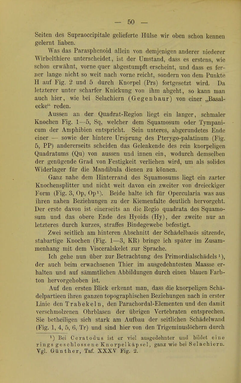 Seiten des Supraoccipitale gelieferte Hülse wir oben schon kennen gelernt haben. Was das Parasphcnoid allein von demjenigen anderer niederer Wirbelthiere unterscheidet, ist der Umstand, dass es erstens, wie schon erwcähnt, vorne quer abgestumpft erscheint, und dass es fer- ner lange nicht so weit nach vorne reicht, sondern von dem Punkte H auf Fig. 2 und 5 durch Knorpel (Prs) fortgesetzt wird. Da letzterer unter scharfer Knickung von ihm abgeht, so kann man auch hier, wie bei Selachiern (Gegenbaur) von einer „Basal- ecke reden. Aussen an der Quadrat-Region liegt ein langer, schmaler Knochen Fig. 1—5, Sq, welcher dem Squamosum oder Tympani- cum der Amphibien entspricht. Sein unteres, abgerundetes Ende einer — sowie der hintere Ursprung des Pterygo-palatinum (Fig. 5, PP) andererseits scheiden das Gelenkende des rein knorpeligen Quadratums (Qu) von aussen und innen ein, wodurch demselben der genügende Grad von Festigkeit verliehen wird, um als solides Widerlager für die Mandibula dienen zu können. Ganz nahe dem Hinterrand des Squamosums liegt ein zarter Knochensplitter und nicht weit davon ein zweiter von dreieckiger Form (Fig. 3, Op, Op^). Beide halte ich für Opercularia was aus ihren nahen Beziehungen zu der Kiemenfalte deutlich hervorgeht. Der erste davon ist einerseits an die Regio quadrata des Squamo- sum und das obere Ende des Hyoids (Hy), der zweite nur an letzteres durch kurzes, straffes Bindegewebe befestigt. Zwei seitlich am hinteren Abschnitt der Schädelbasis sitzende, stabartige Knochen (Fig. 1—3, KR) bringe ich später im Zusam- menhang mit dem Visceralskelet zur Sprache. Ich gehe nun über zur Betrachtung des Primordialschädels^), der auch beim erwachsenen Thier im ausgedehntesten Maasse er- halten und auf sämmtlichen Abbildungen durch einen blauen Färb- i ton hervorgehoben ist. Auf den ersten Blick erkennt man, dass die knorpeligen Schä- delpartieen ihren ganzen topographischen Beziehungen nach in erster Linie den Trab ekeln, den Parachordal-Elementen und den damit verschmolzenen Ohrblasen der übrigen Vertebraten entsprechen. Sie betheiligen sich stark am Aufbau der seitlichen Schädelwand (Fig. 1, 4, 5, 6, Tr) und sind hier von den Trigcminuslöchern durch ^) Bei Ceratodus ist er viel ausgedehnter und bildet eine rings geschlossene Kn o rpel k äp sei, ganz wie bei Selachiern. Ygl. Günther, Taf. XXXV Fig. 2.